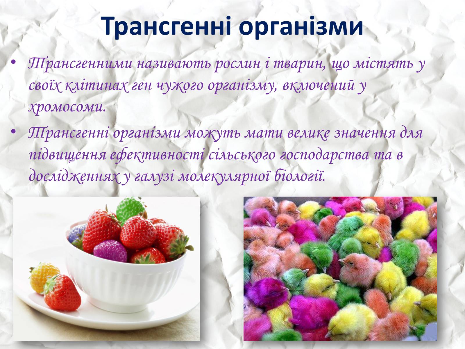 Презентація на тему «Трансгенні та химерні організми» (варіант 1) - Слайд #3 Презентація на тему «Трансгенні та химерні організми» (варіант 1) - Слайд #3