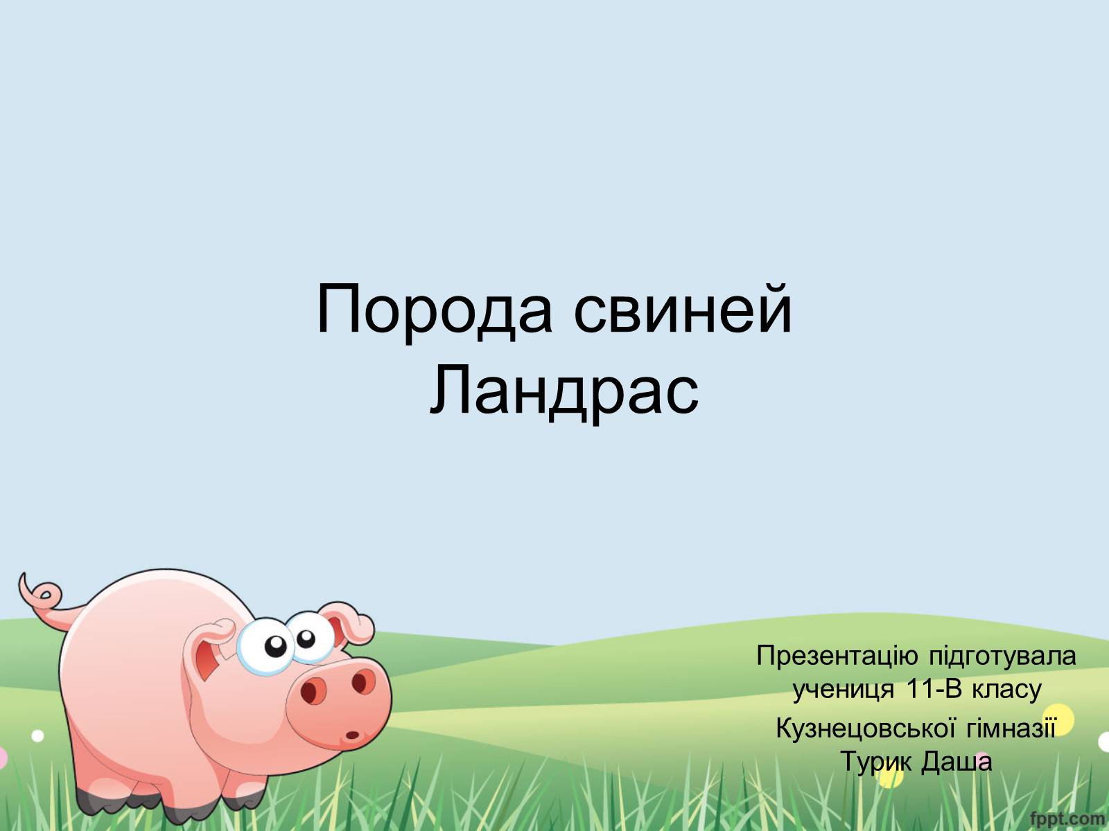 Презентація на тему «Порода свиней Ландрас» - Слайд #1