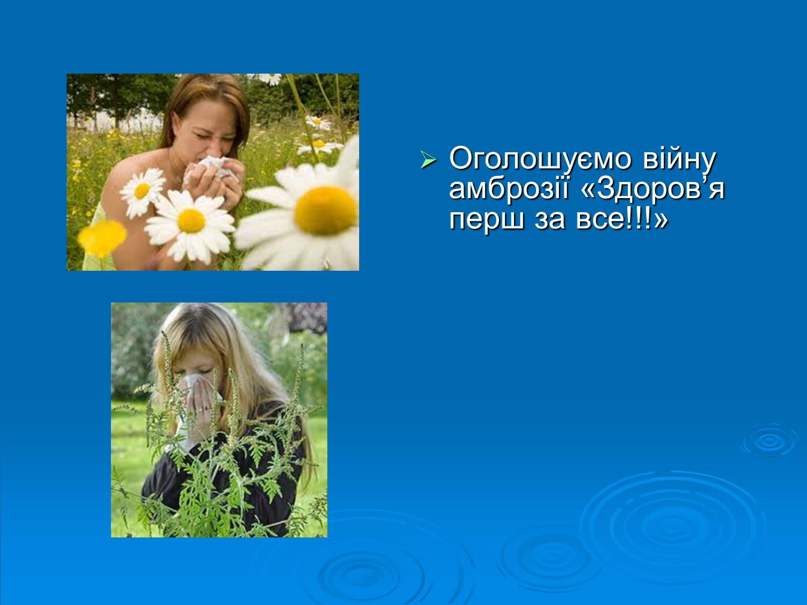 Презентація на тему «Амброзія полинолиста» - Слайд #10 Презентація на тему «Амброзія полинолиста» - Слайд #10