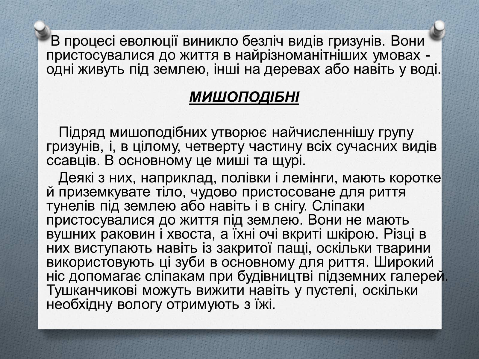 Презентація на тему «Ряд Гризуни» (варіант 1) - Слайд #10 Презентація на тему «Ряд Гризуни» (варіант 1) - Слайд #10