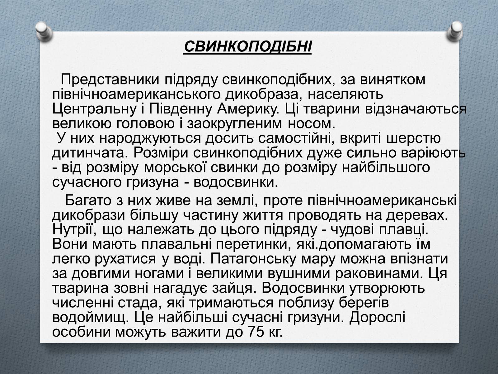 Презентація на тему «Ряд Гризуни» (варіант 1) - Слайд #12 Презентація на тему «Ряд Гризуни» (варіант 1) - Слайд #12