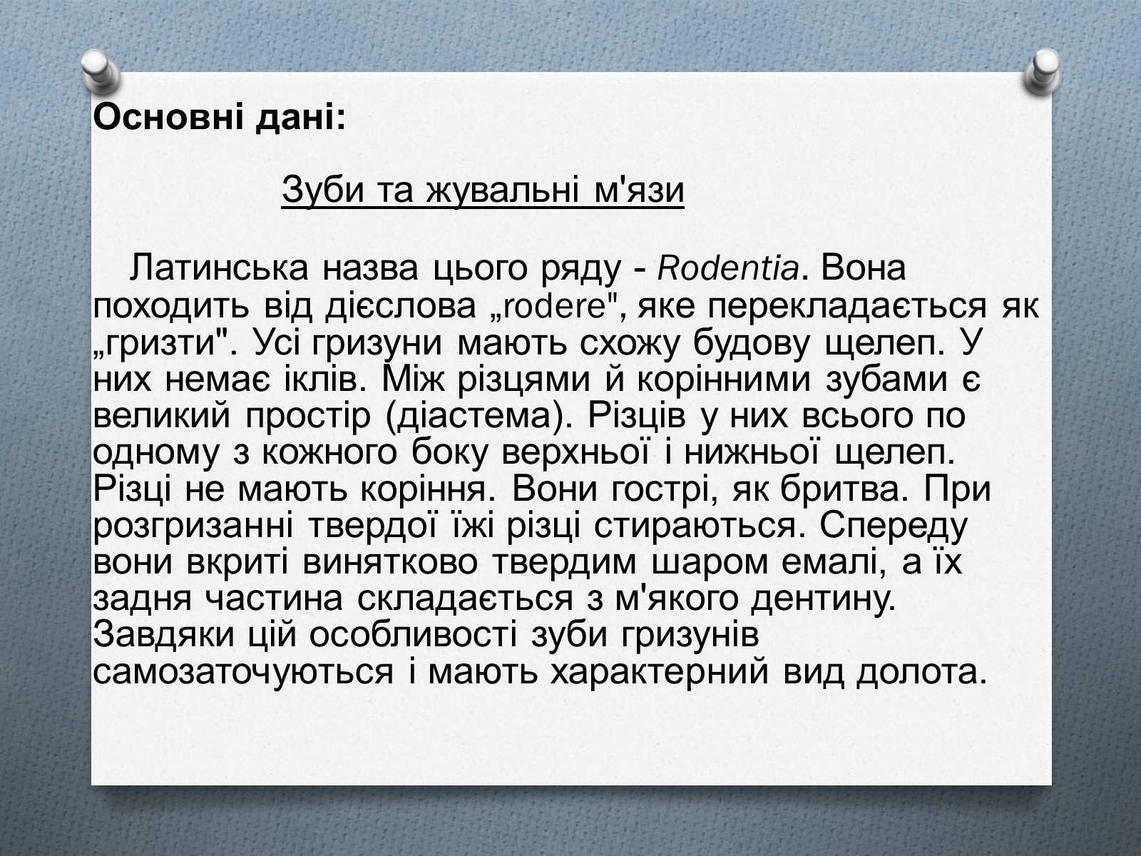 Презентація на тему «Ряд Гризуни» (варіант 1) - Слайд #5 Презентація на тему «Ряд Гризуни» (варіант 1) - Слайд #5