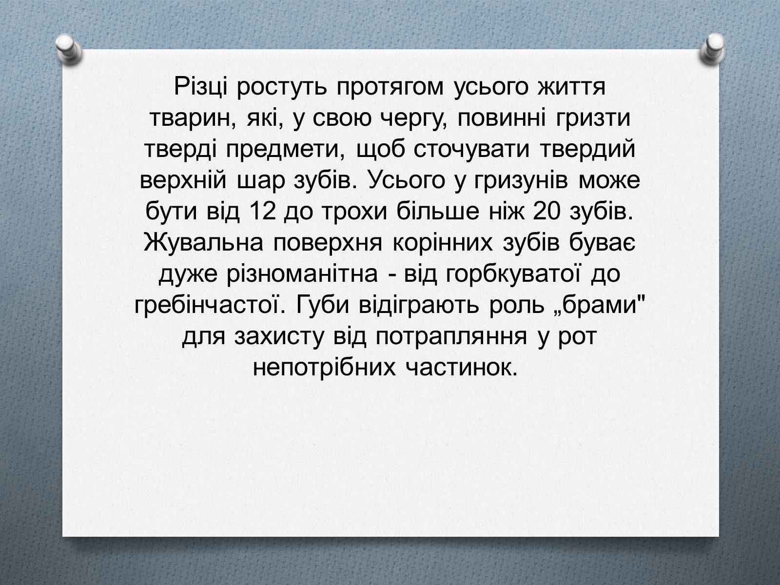 Презентація на тему «Ряд Гризуни» (варіант 1) - Слайд #6 Презентація на тему «Ряд Гризуни» (варіант 1) - Слайд #6
