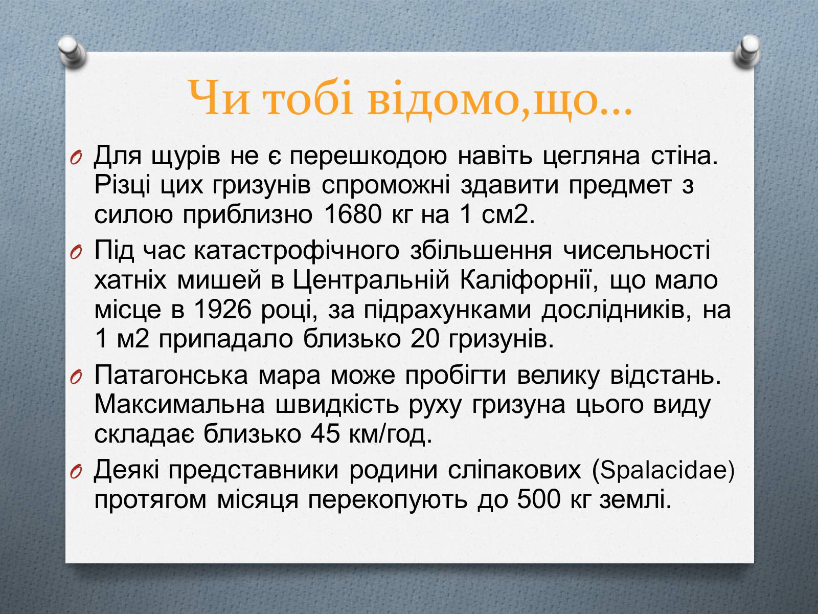 Презентація на тему «Ряд Гризуни» (варіант 1) - Слайд #9 Презентація на тему «Ряд Гризуни» (варіант 1) - Слайд #9