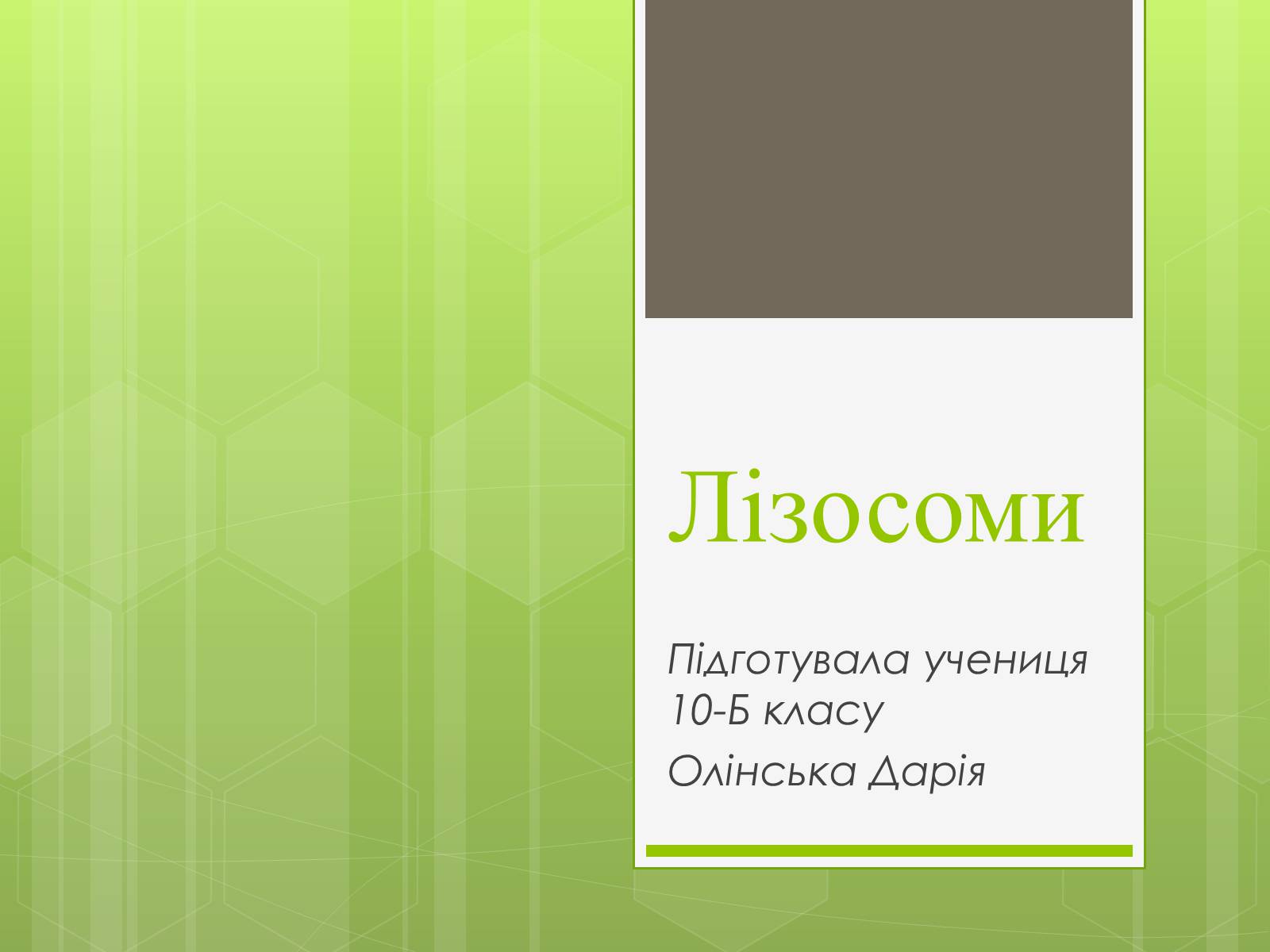 Презентація на тему «Лізосоми» (варіант 1) - Слайд #1 Презентація на тему «Лізосоми» (варіант 1) - Слайд #1