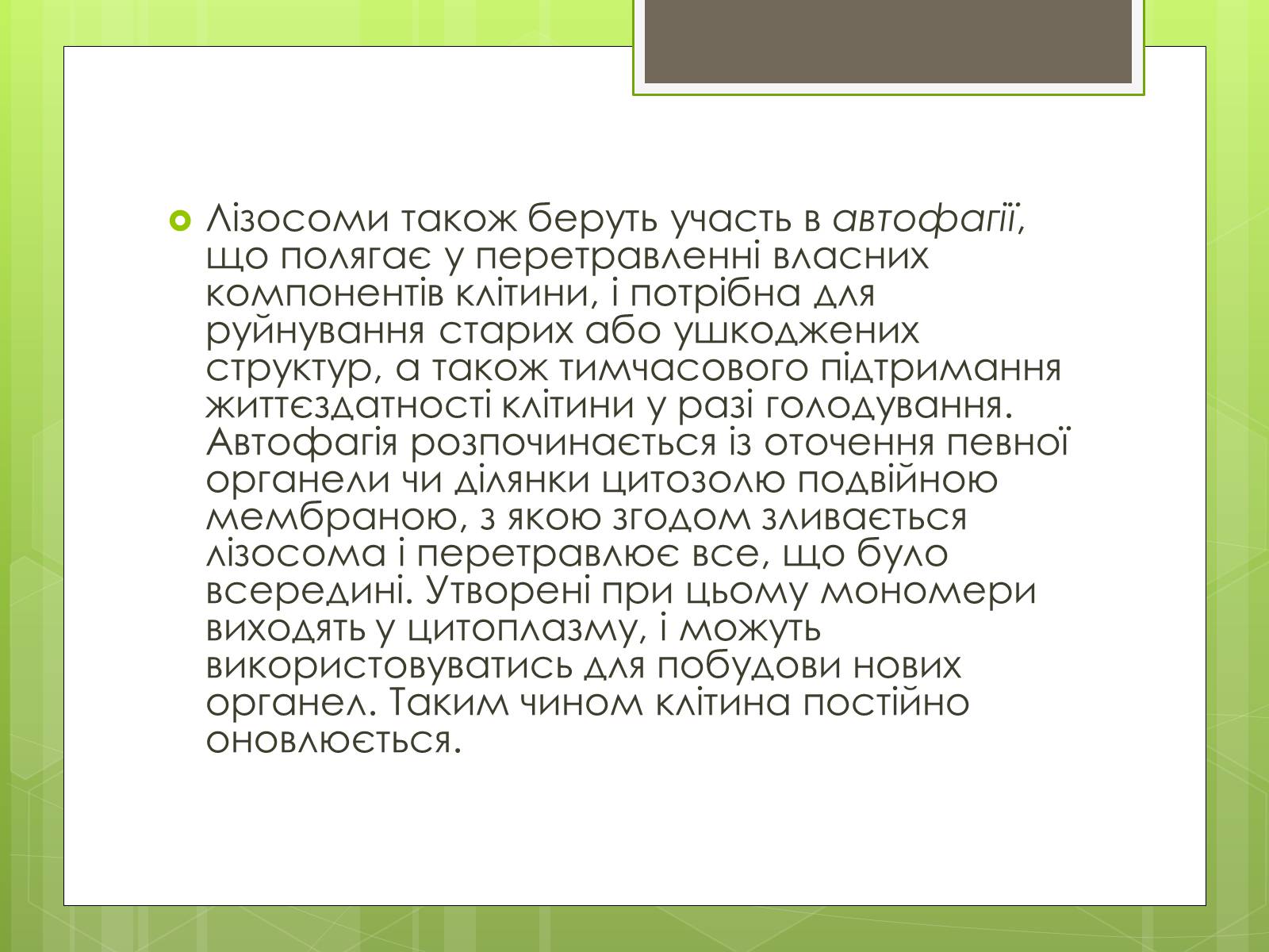 Презентація на тему «Лізосоми» (варіант 1) - Слайд #15 Презентація на тему «Лізосоми» (варіант 1) - Слайд #15