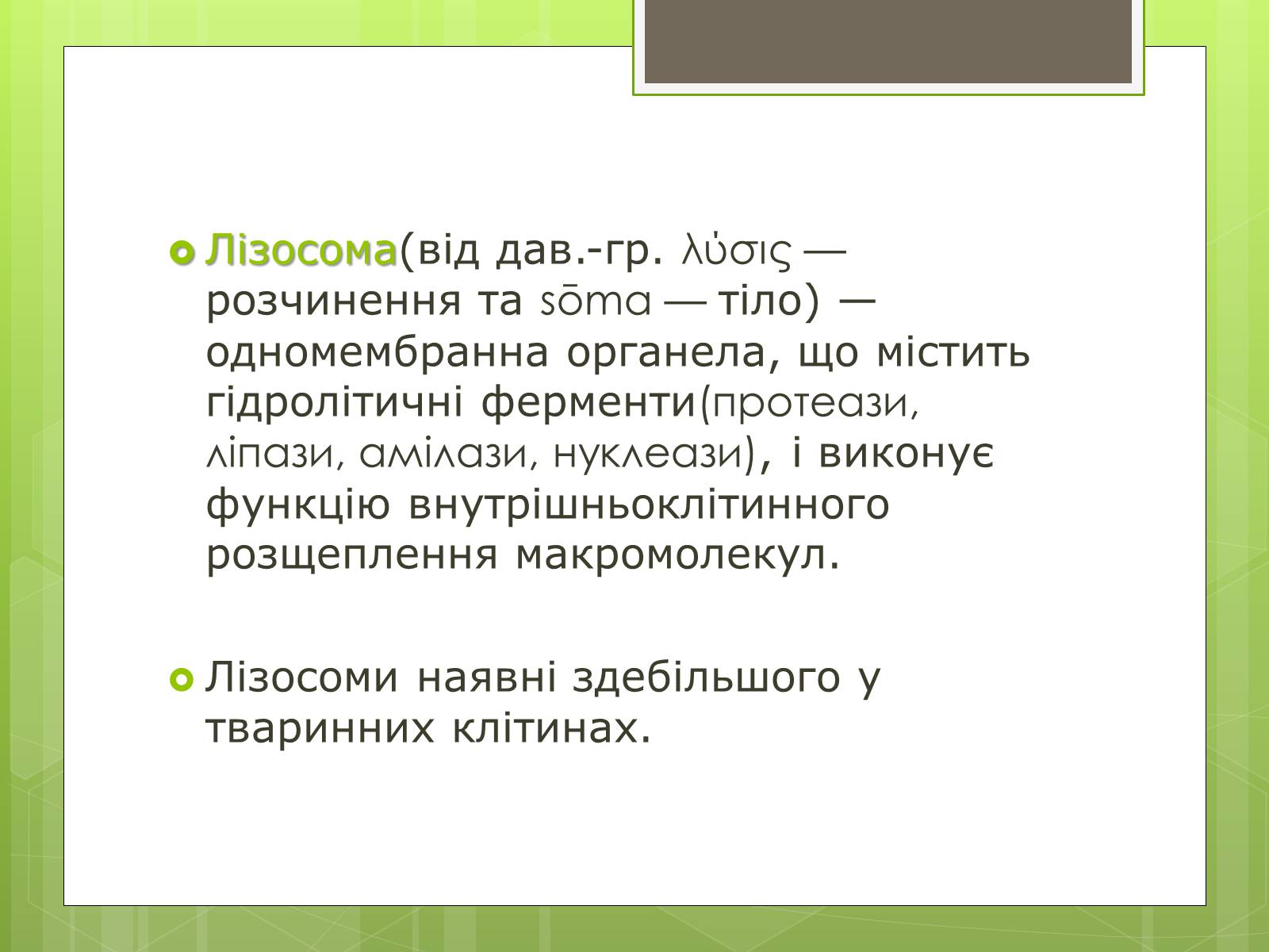 Презентація на тему «Лізосоми» (варіант 1) - Слайд #2 Презентація на тему «Лізосоми» (варіант 1) - Слайд #2