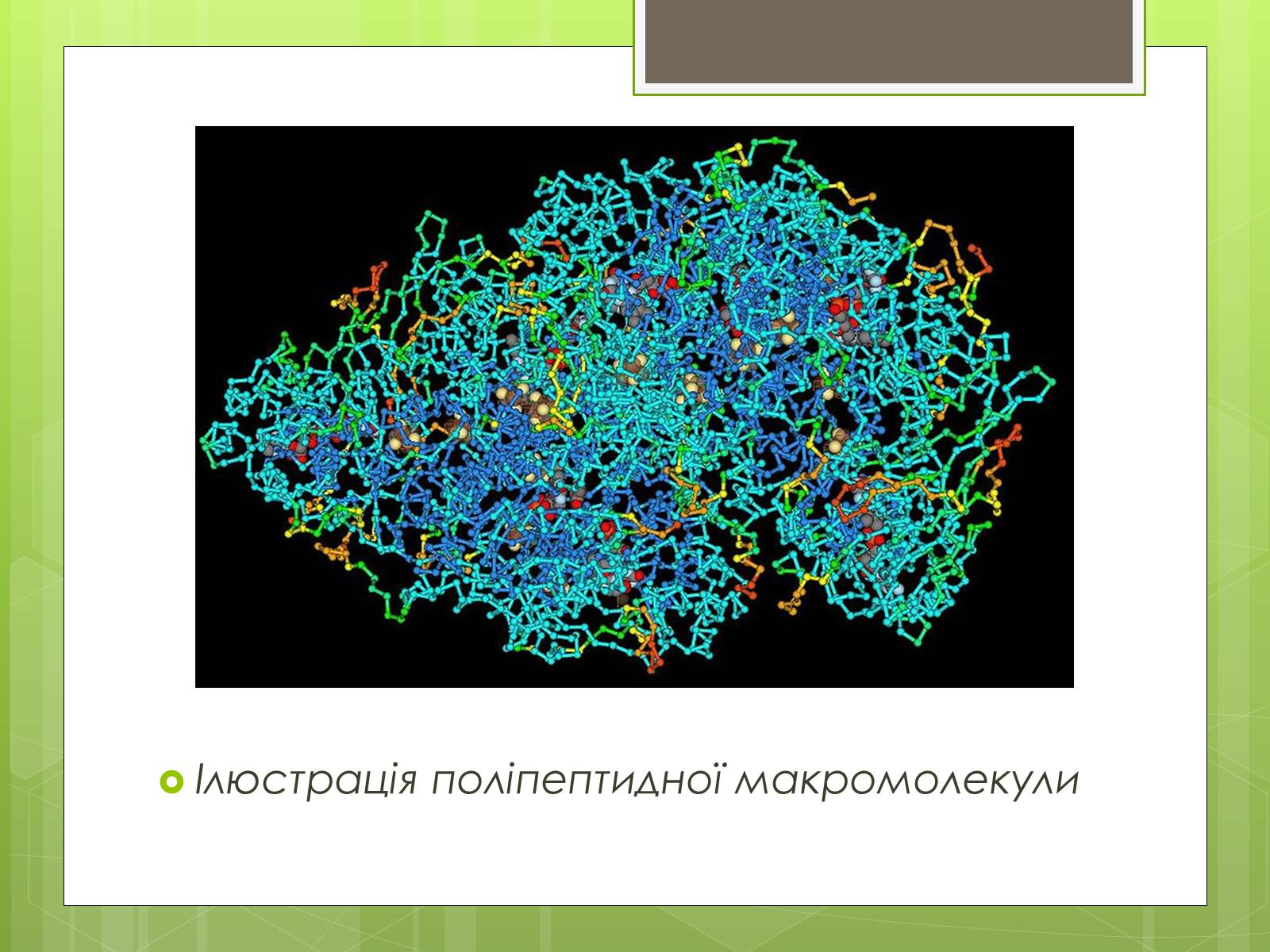 Презентація на тему «Лізосоми» (варіант 1) - Слайд #3 Презентація на тему «Лізосоми» (варіант 1) - Слайд #3