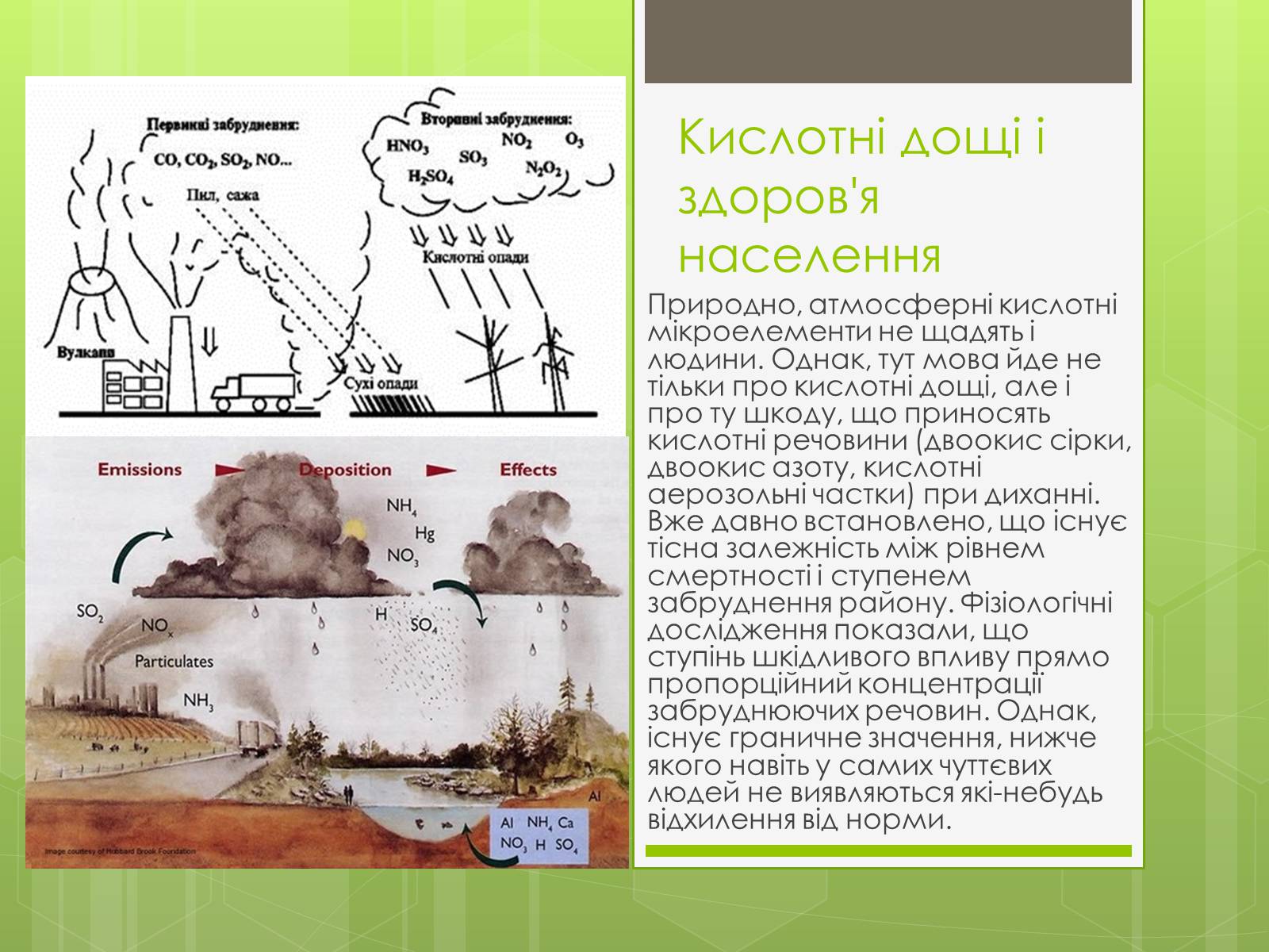 Презентація на тему «Здоров’я людини та навколишнє середовище» - Слайд #7 Презентація на тему «Здоров’я людини та навколишнє середовище» - Слайд #7