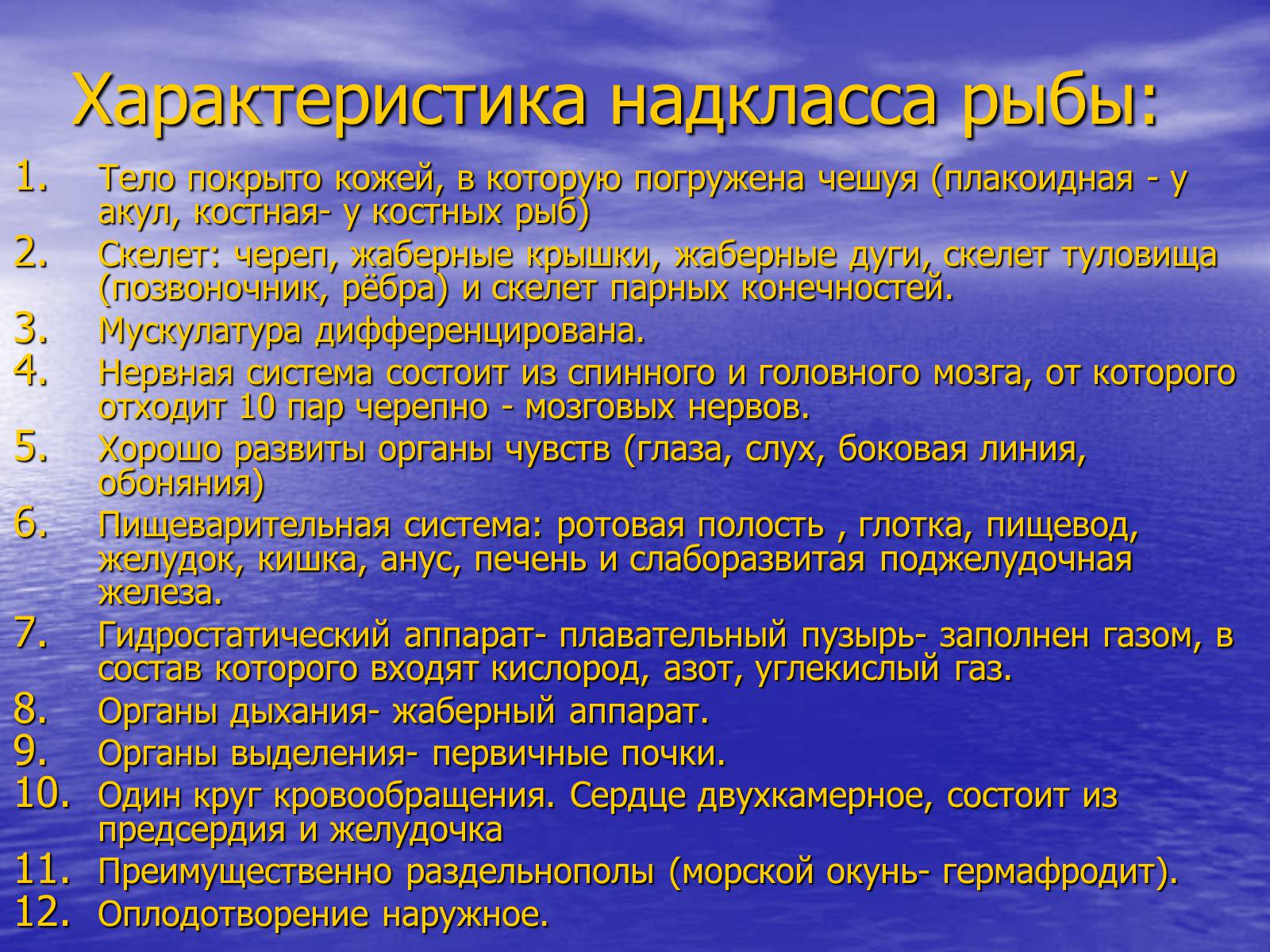 Презентація на тему «Класс хрящевые рыбы» - Слайд #5 Презентація на тему «Класс хрящевые рыбы» - Слайд #5