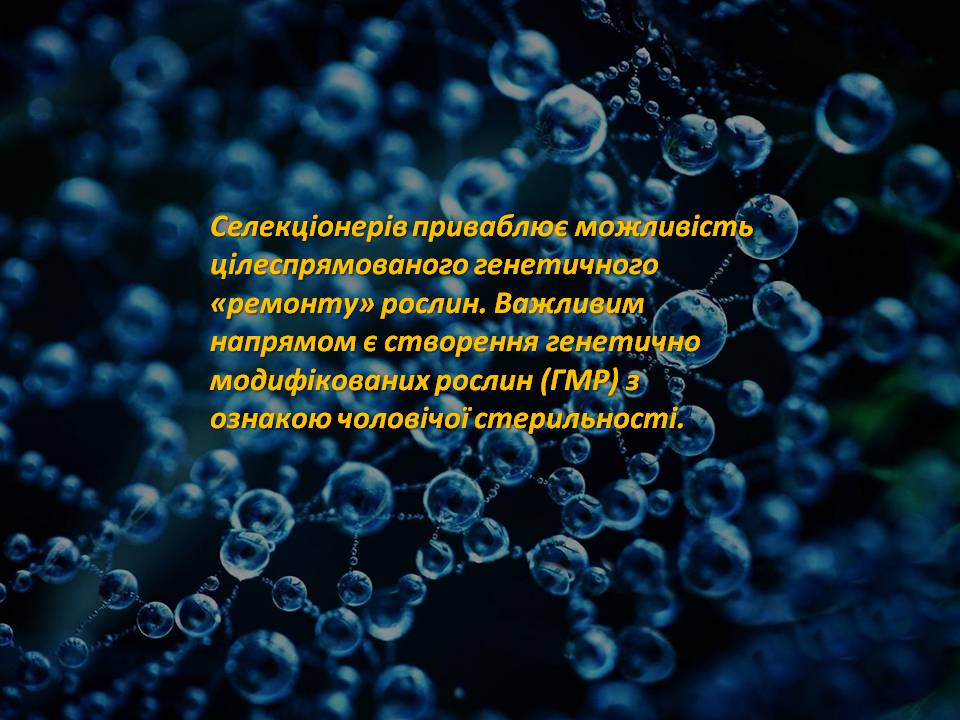 Презентація на тему «Генна інженерія» (варіант 8) - Слайд #11 Презентація на тему «Генна інженерія» (варіант 8) - Слайд #11