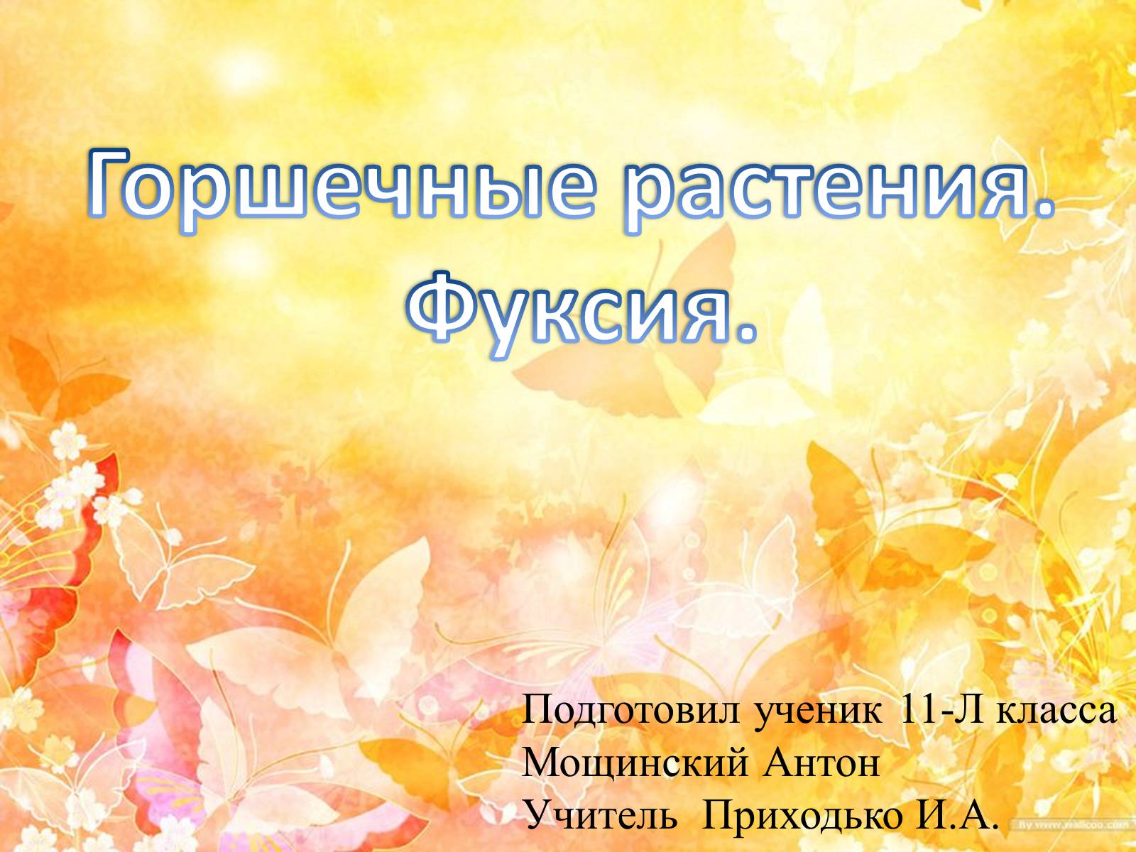 Презентація на тему «Горшечные растения. Фуксия» - Слайд #1 Презентація на тему «Горшечные растения. Фуксия» - Слайд #1