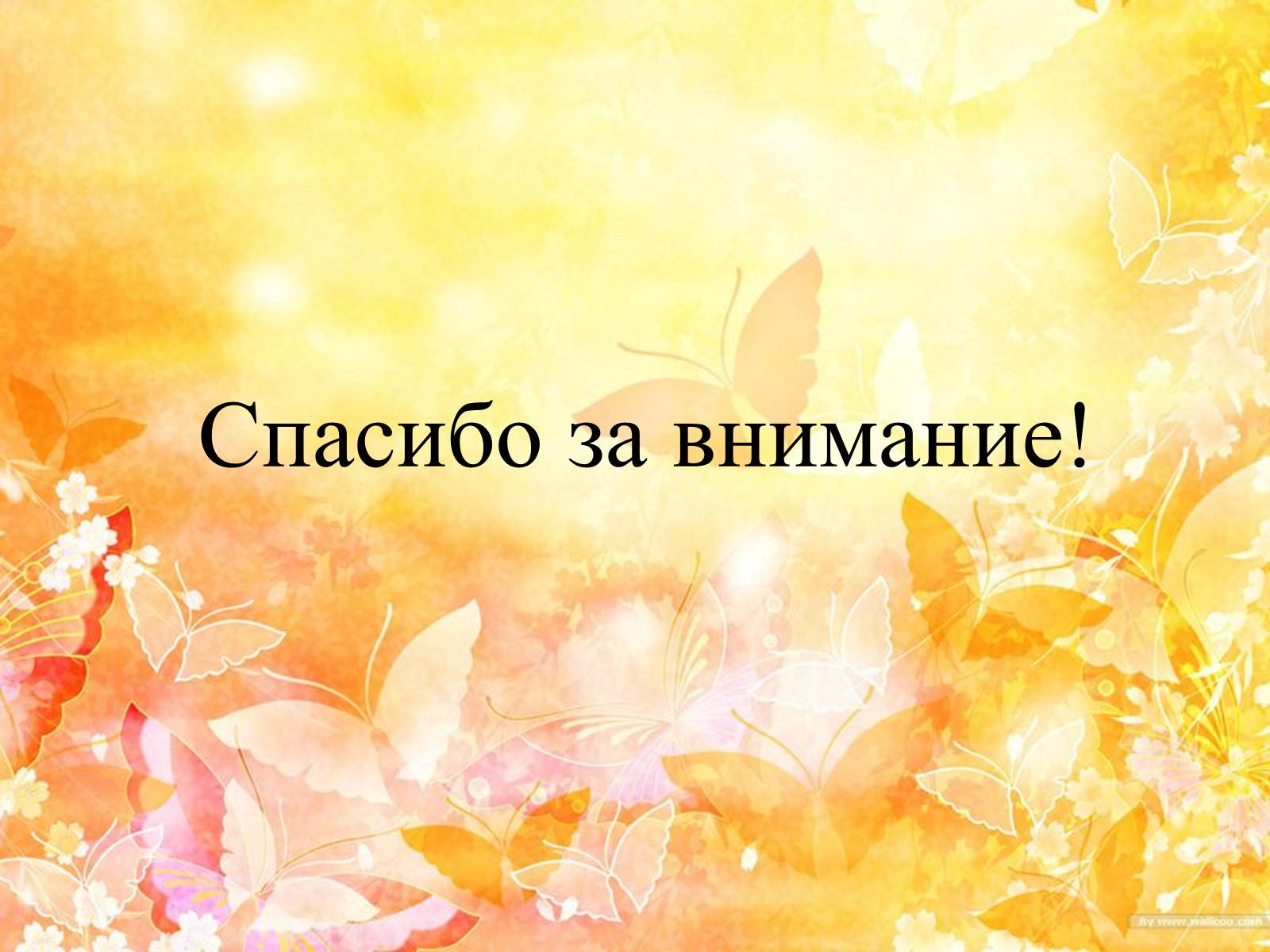 Презентація на тему «Горшечные растения. Фуксия» - Слайд #10 Презентація на тему «Горшечные растения. Фуксия» - Слайд #10