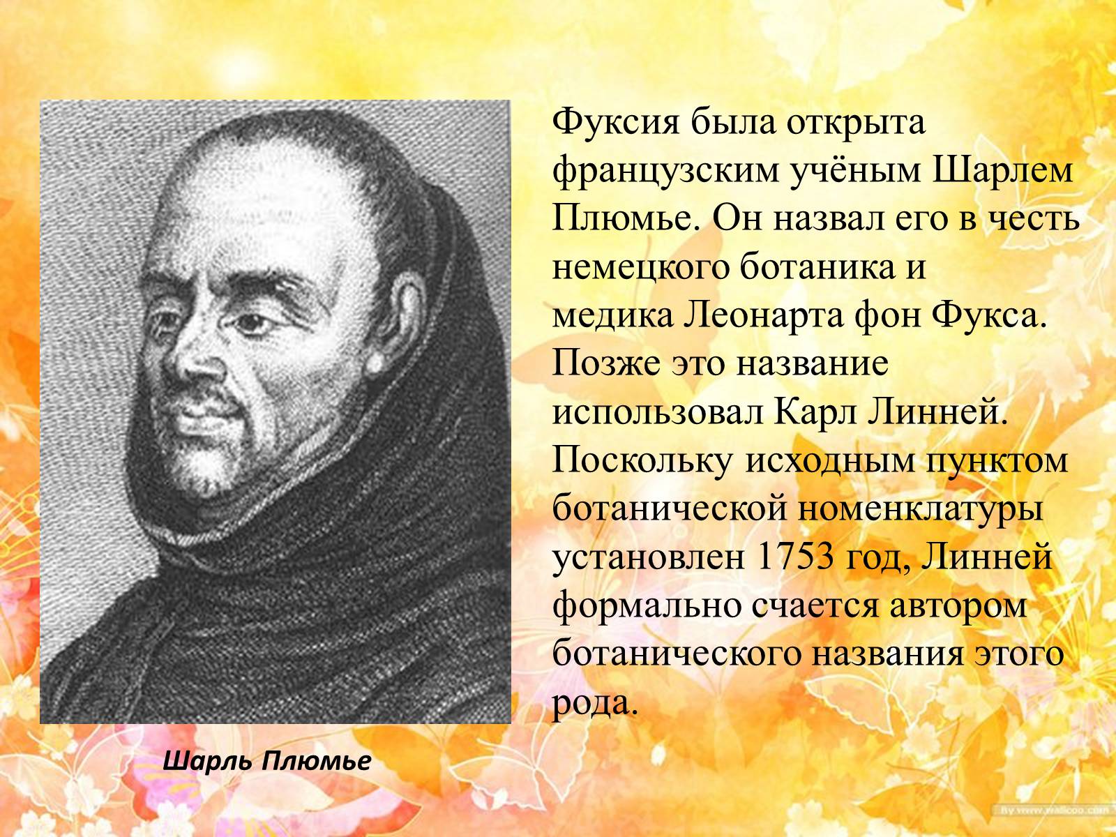 Презентація на тему «Горшечные растения. Фуксия» - Слайд #5 Презентація на тему «Горшечные растения. Фуксия» - Слайд #5