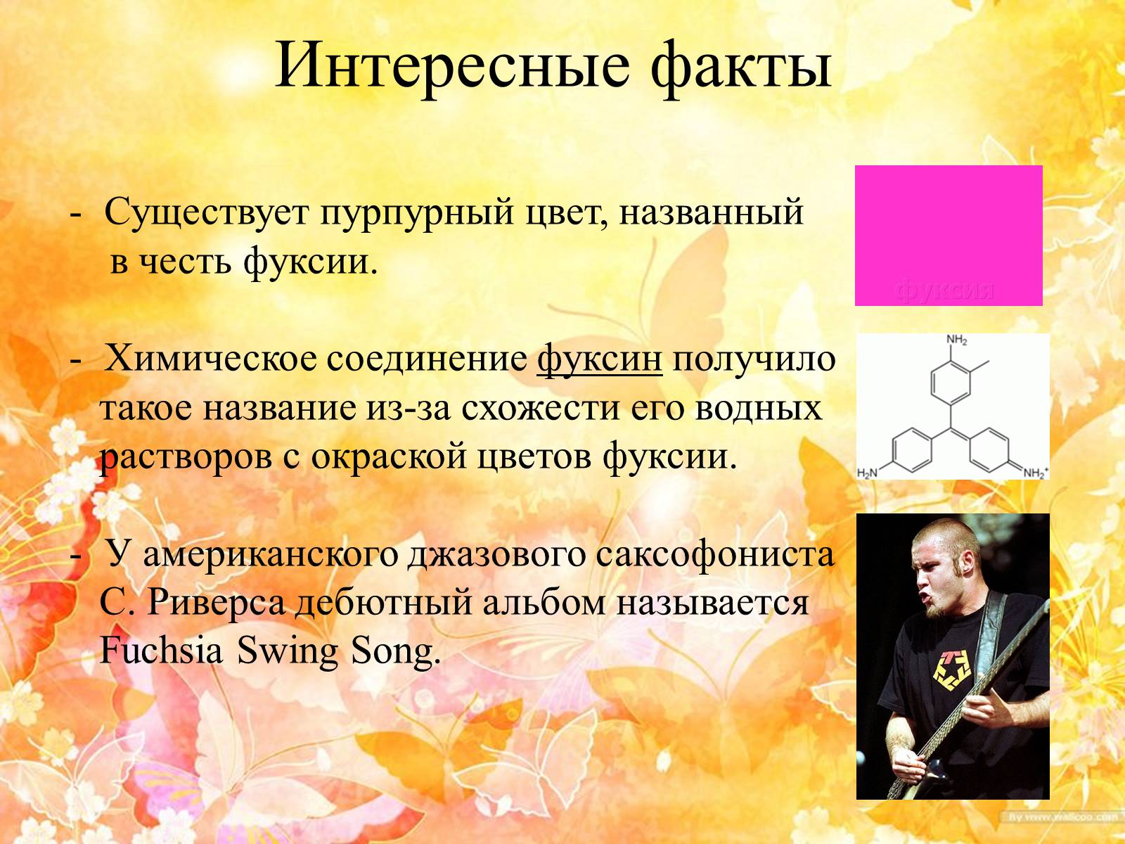 Презентація на тему «Горшечные растения. Фуксия» - Слайд #9 Презентація на тему «Горшечные растения. Фуксия» - Слайд #9