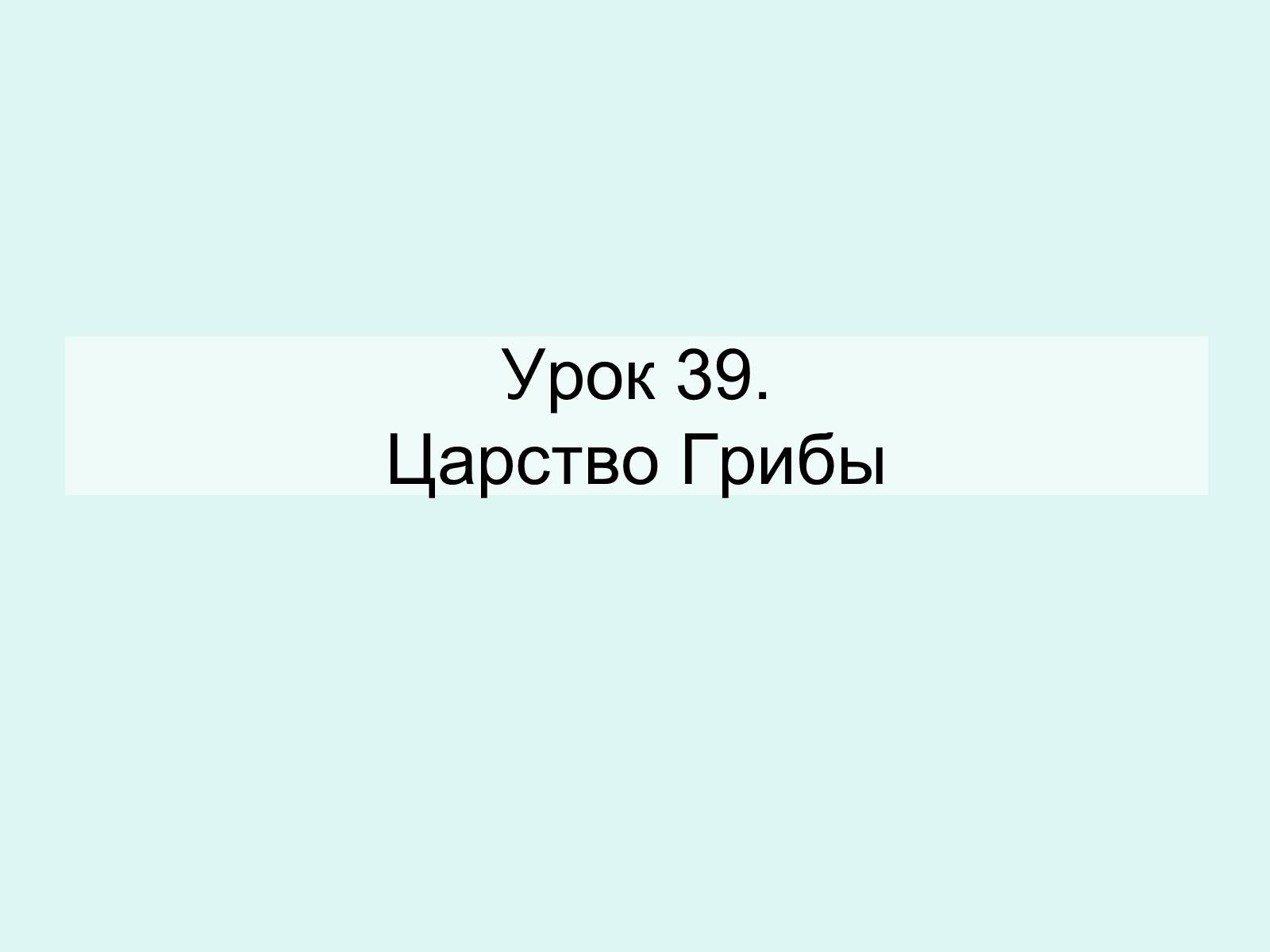 Презентація на тему «Царство Грибы» (варіант 2) - Слайд #1 Презентація на тему «Царство Грибы» (варіант 2) - Слайд #1
