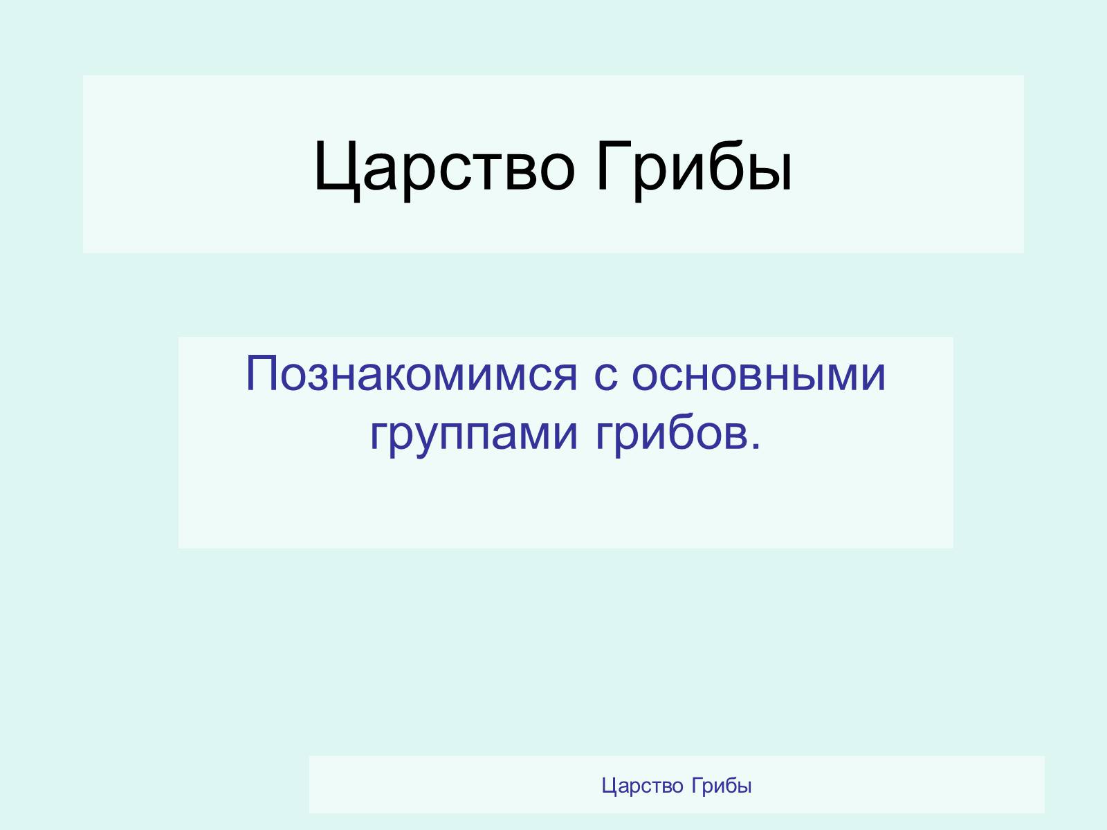 Презентація на тему «Царство Грибы» (варіант 2) - Слайд #2 Презентація на тему «Царство Грибы» (варіант 2) - Слайд #2