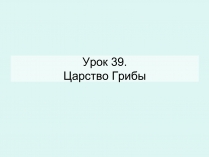 Презентація на тему «Царство Грибы» (варіант 2)