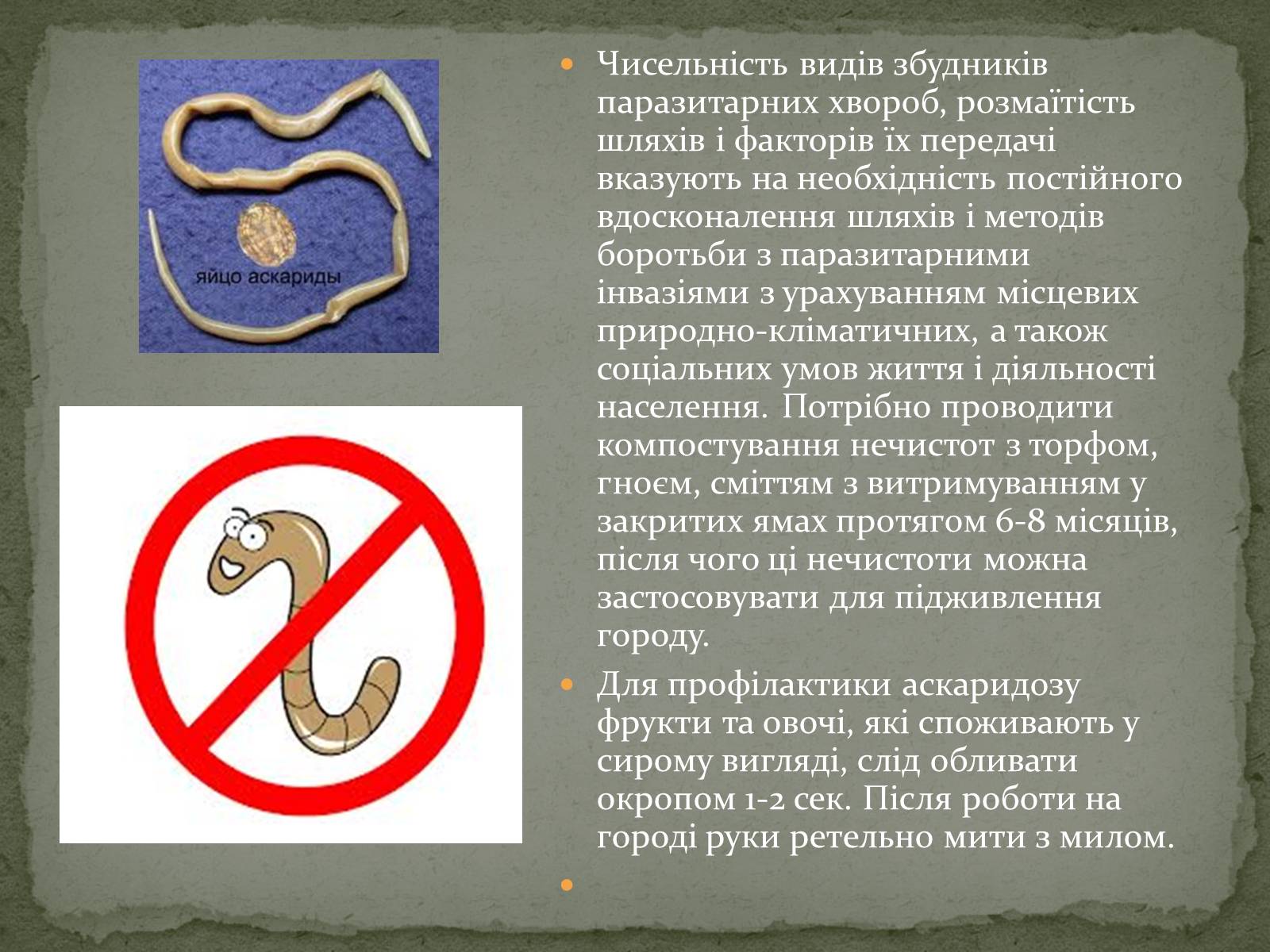 Презентація на тему «Глистяні захворювання» - Слайд #10 Презентація на тему «Глистяні захворювання» - Слайд #10