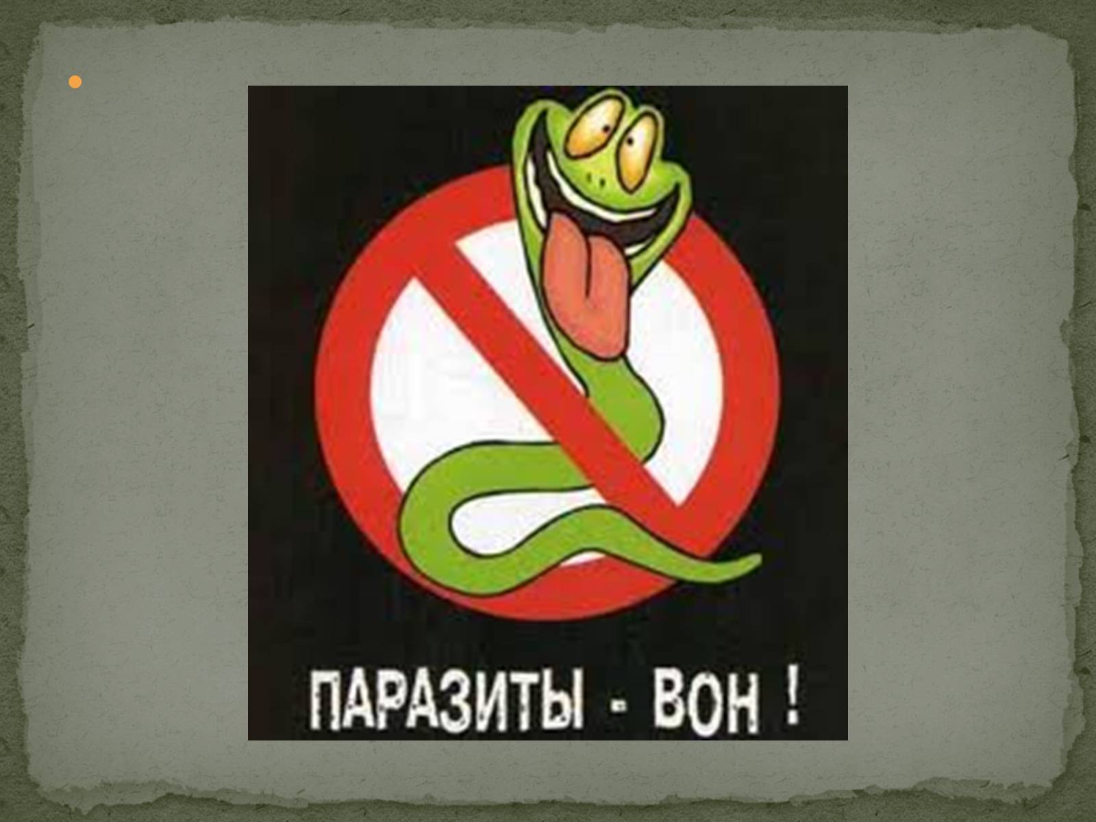 Презентація на тему «Глистяні захворювання» - Слайд #11 Презентація на тему «Глистяні захворювання» - Слайд #11
