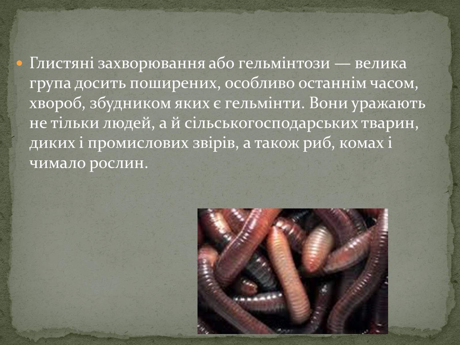 Презентація на тему «Глистяні захворювання» - Слайд #2 Презентація на тему «Глистяні захворювання» - Слайд #2