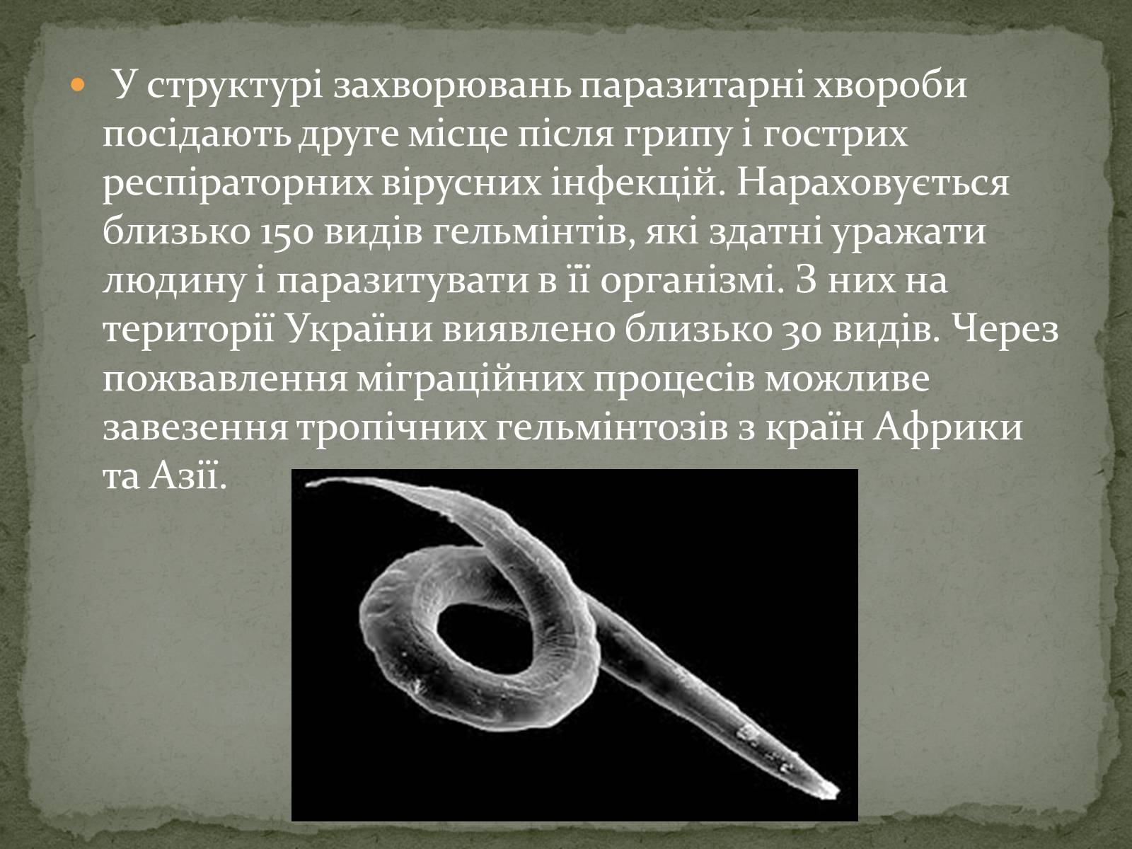 Презентація на тему «Глистяні захворювання» - Слайд #3 Презентація на тему «Глистяні захворювання» - Слайд #3
