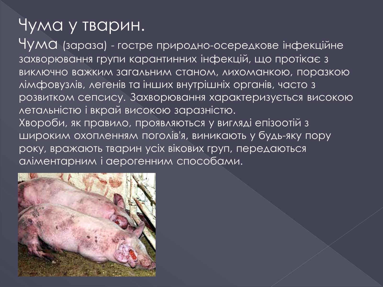 Презентація на тему «Вірусні хвороби тварин» - Слайд #6 Презентація на тему «Вірусні хвороби тварин» - Слайд #6