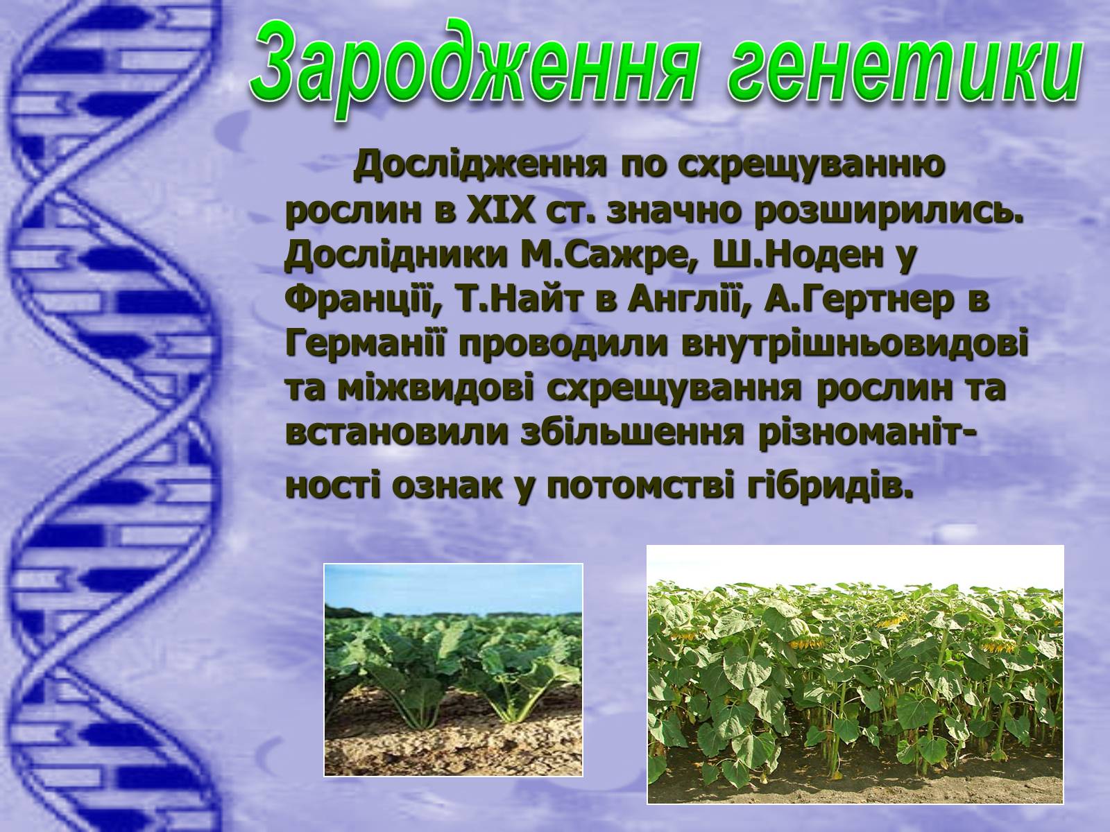Презентація на тему «Історія розвитку генетики» - Слайд #4 Презентація на тему «Історія розвитку генетики» - Слайд #4
