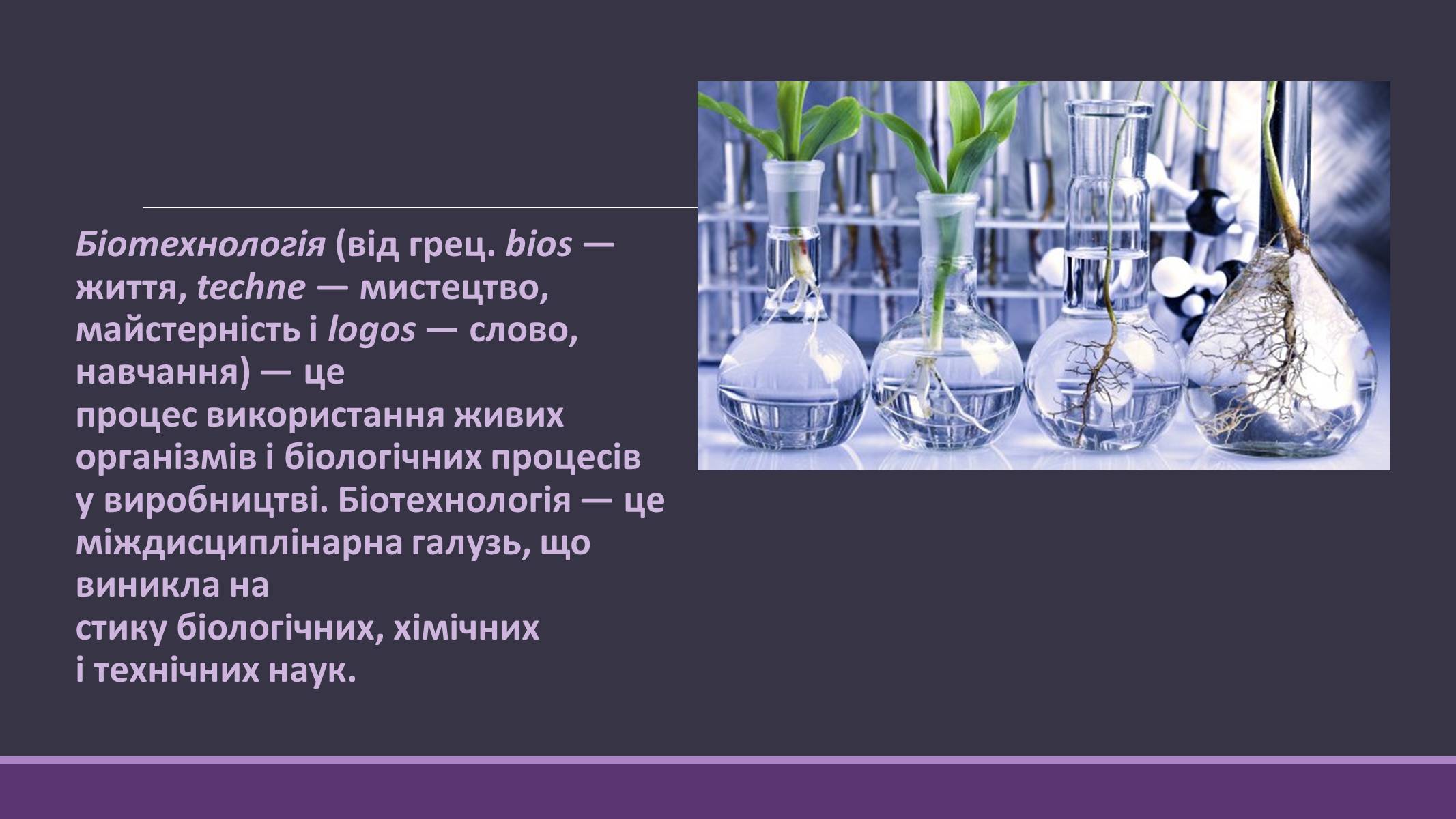 Презентація на тему «Основні напрямки сучасної біотехнології» (варіант 4) - Слайд #2 Презентація на тему «Основні напрямки сучасної біотехнології» (варіант 4) - Слайд #2