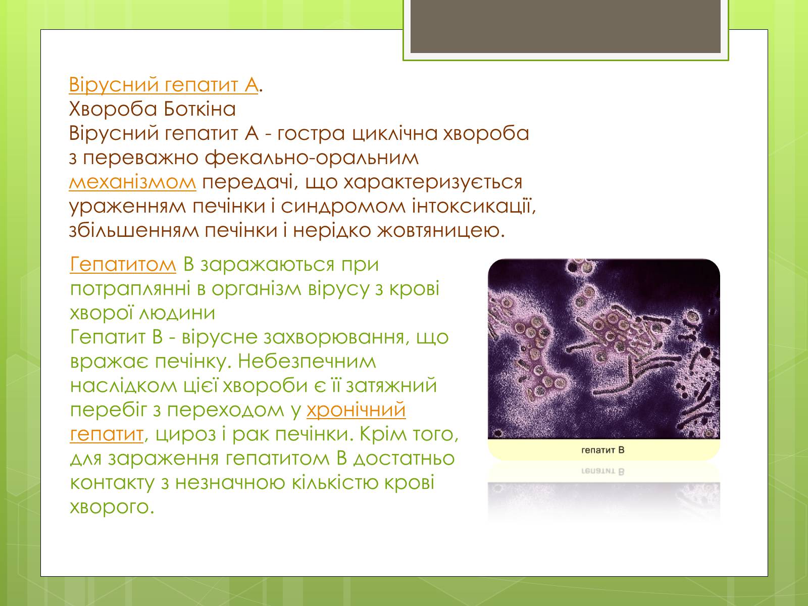 Презентація на тему «Заходи щодо профілактики вірусних хвороб» - Слайд #7 Презентація на тему «Заходи щодо профілактики вірусних хвороб» - Слайд #7