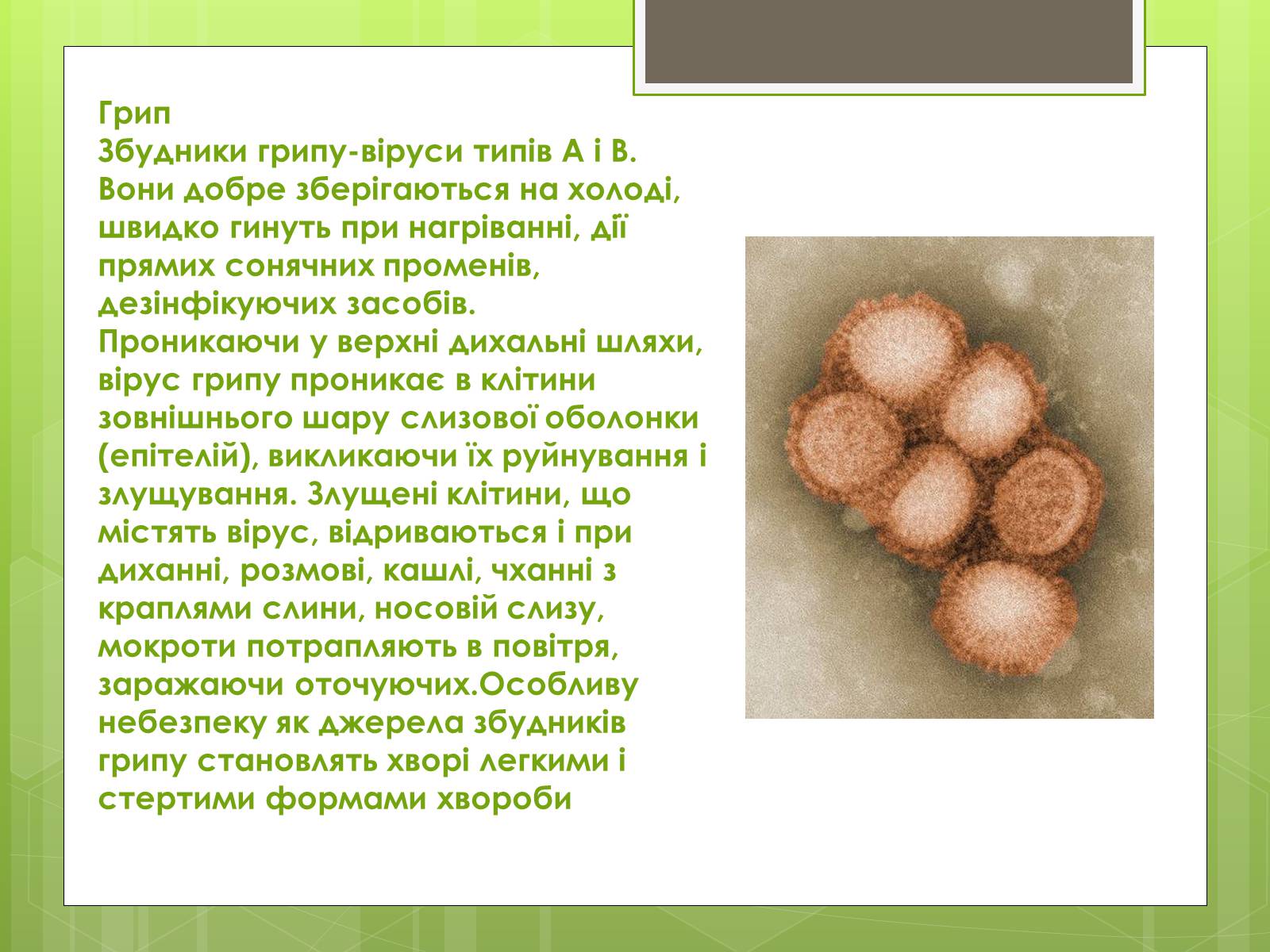 Презентація на тему «Заходи щодо профілактики вірусних хвороб» - Слайд #8 Презентація на тему «Заходи щодо профілактики вірусних хвороб» - Слайд #8