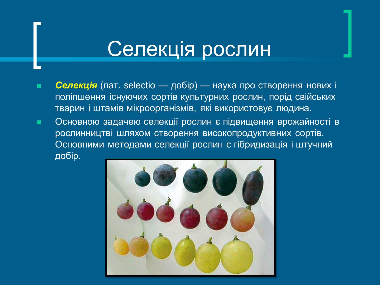 Презентація на тему «Селекція» (варіант 8) - Слайд #2 Презентація на тему «Селекція» (варіант 8) - Слайд #2