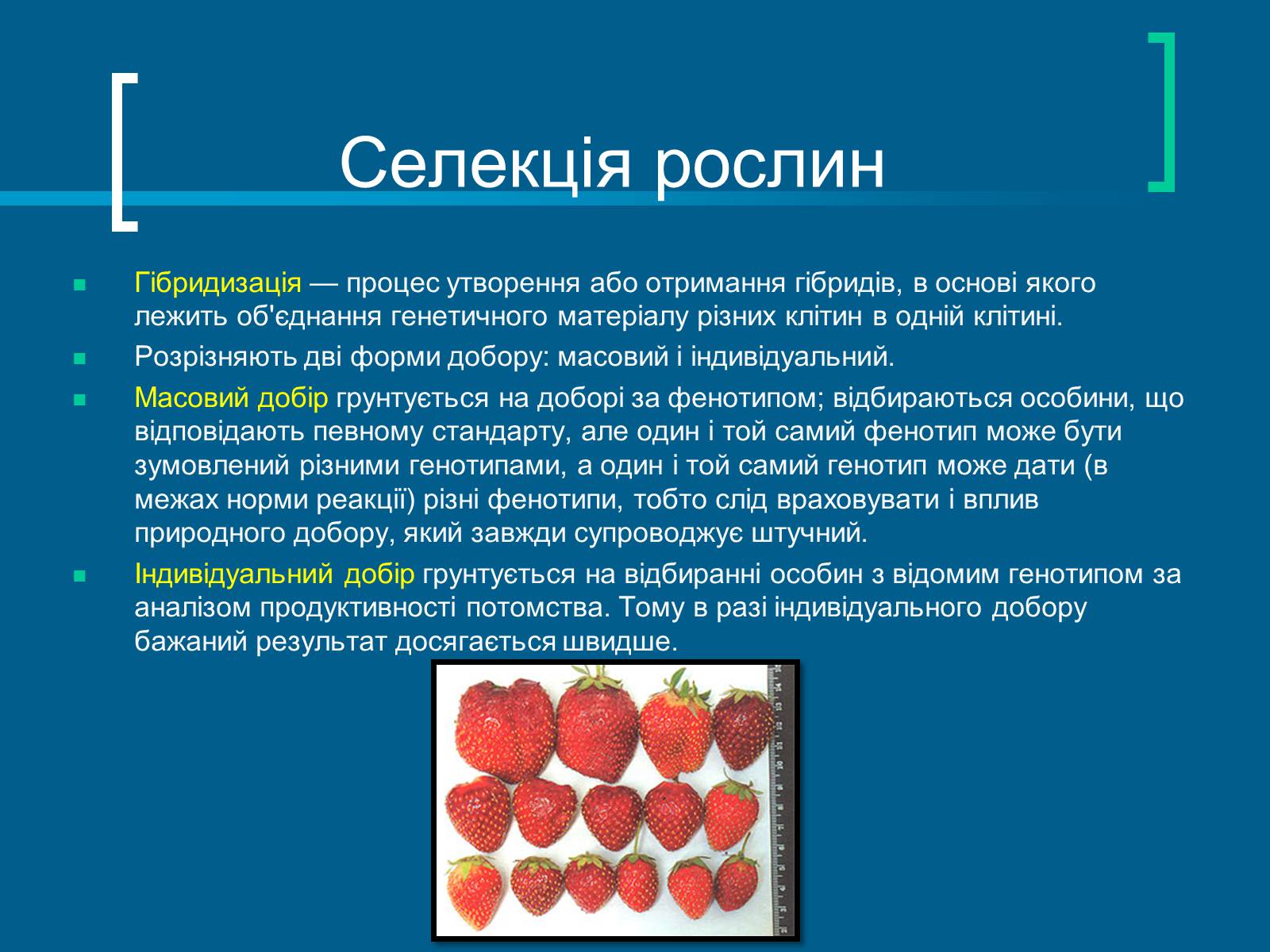 Презентація на тему «Селекція» (варіант 8) - Слайд #3 Презентація на тему «Селекція» (варіант 8) - Слайд #3