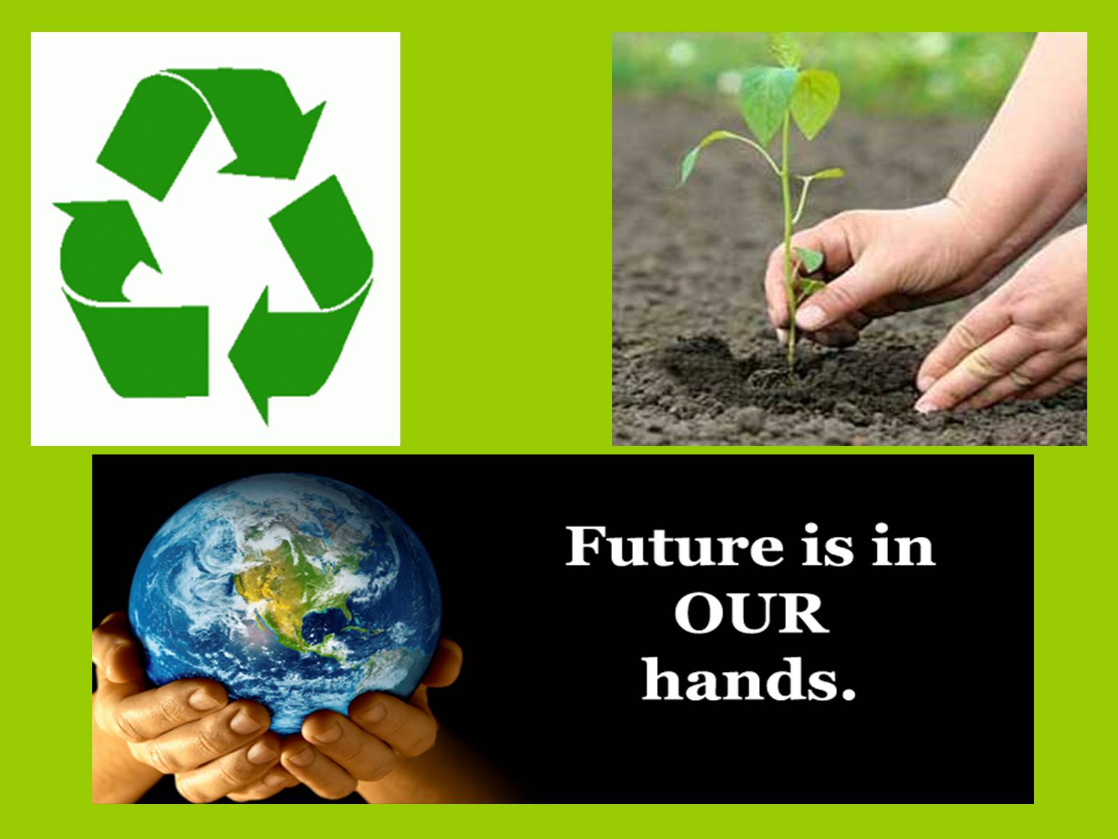 Презентація на тему «Environmental Protection» (варіант 2) - Слайд #14 Презентація на тему «Environmental Protection» (варіант 2) - Слайд #14