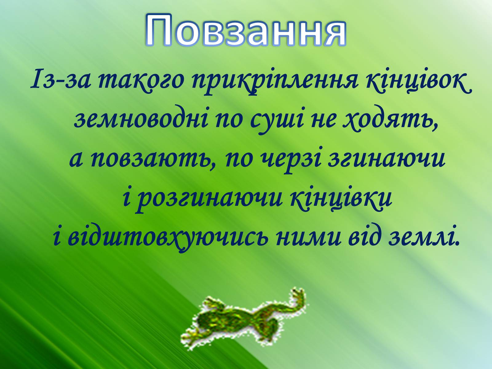 Презентація на тему «Зовнішня будова земноводних» - Слайд #15 Презентація на тему «Зовнішня будова земноводних» - Слайд #15