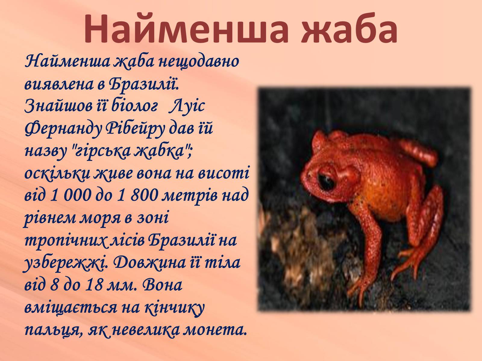 Презентація на тему «Зовнішня будова земноводних» - Слайд #23 Презентація на тему «Зовнішня будова земноводних» - Слайд #23