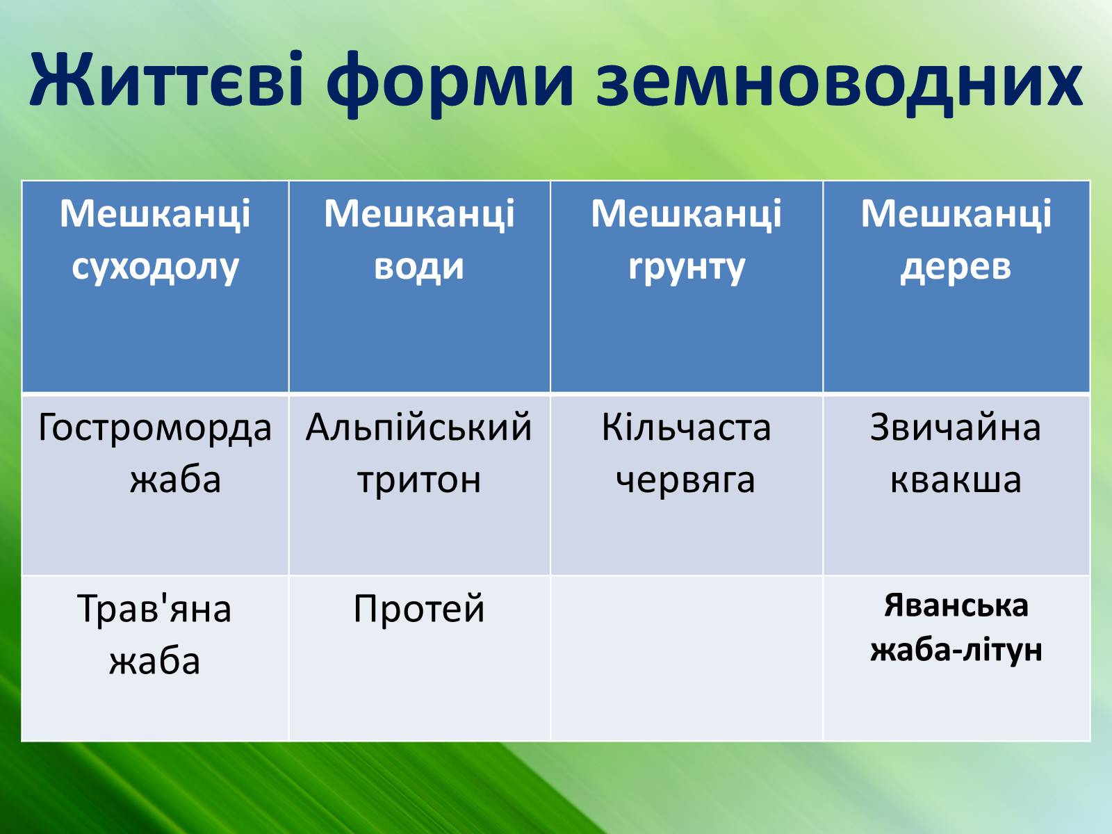 Презентація на тему «Зовнішня будова земноводних» - Слайд #7 Презентація на тему «Зовнішня будова земноводних» - Слайд #7