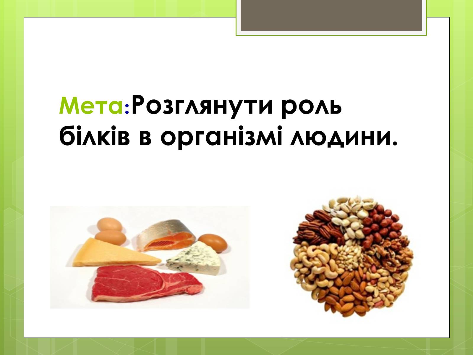 Презентація на тему «Роль білків в організмі людини» - Слайд #3 Презентація на тему «Роль білків в організмі людини» - Слайд #3