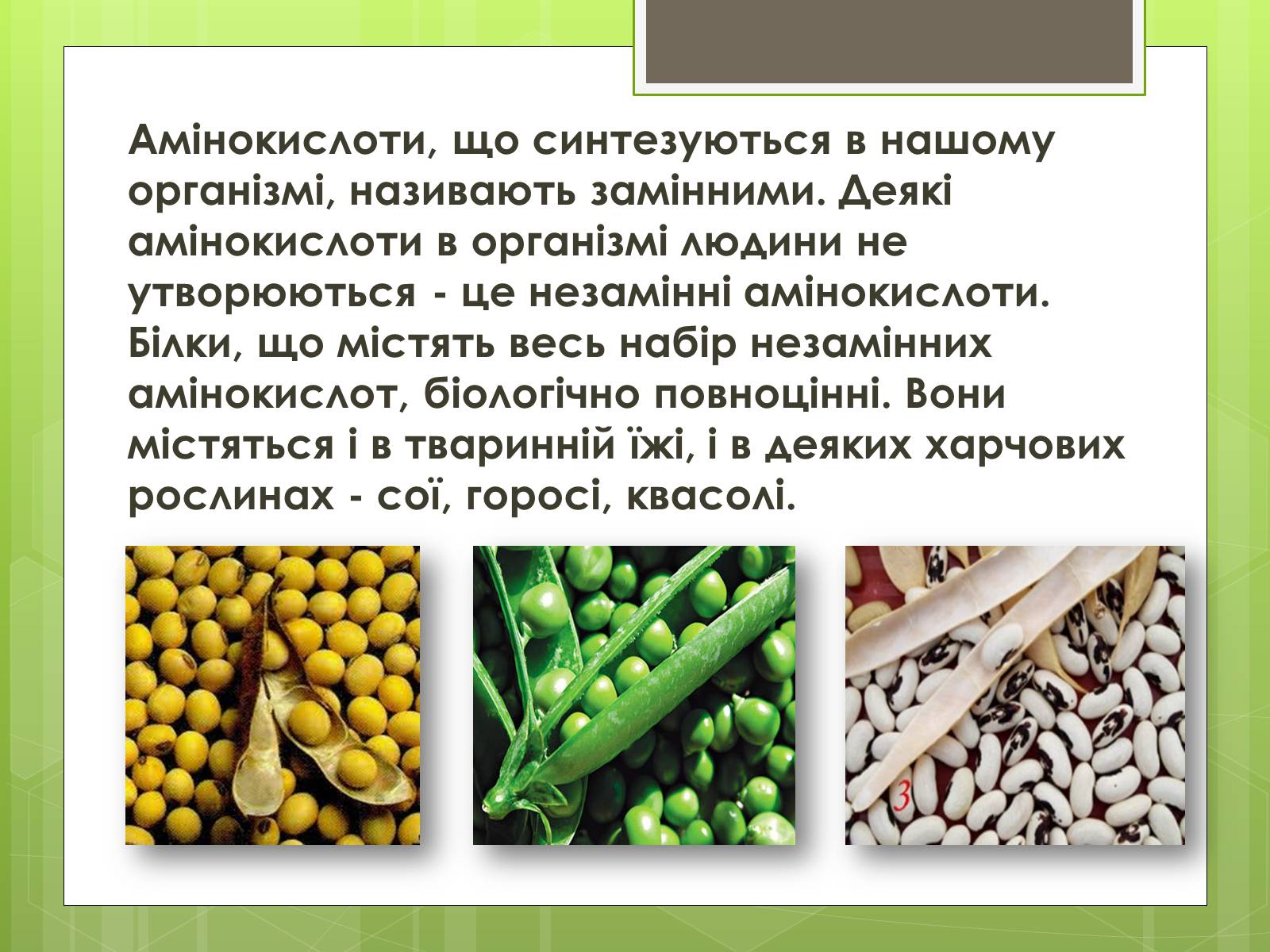 Презентація на тему «Роль білків в організмі людини» - Слайд #5 Презентація на тему «Роль білків в організмі людини» - Слайд #5