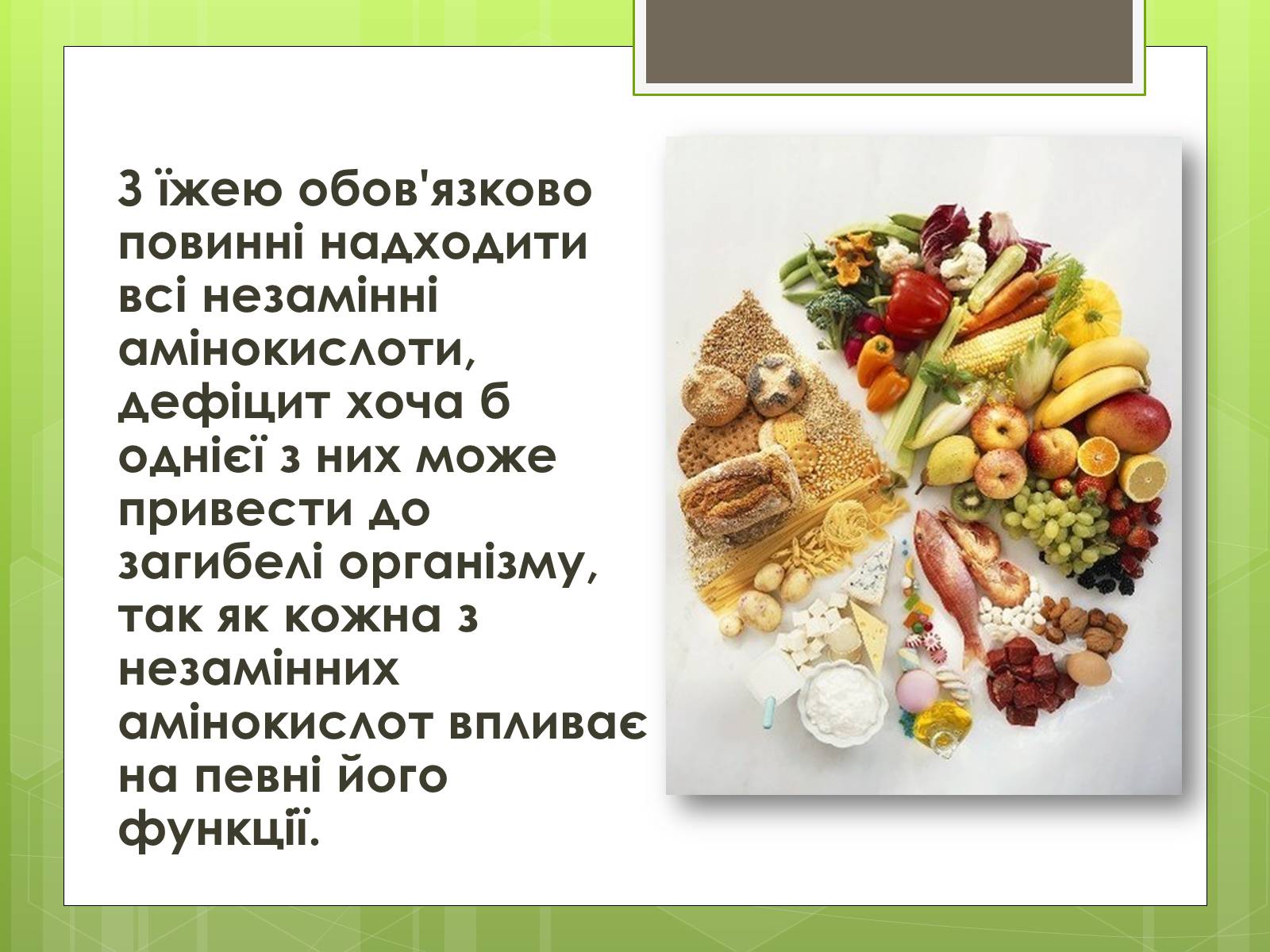 Презентація на тему «Роль білків в організмі людини» - Слайд #6 Презентація на тему «Роль білків в організмі людини» - Слайд #6