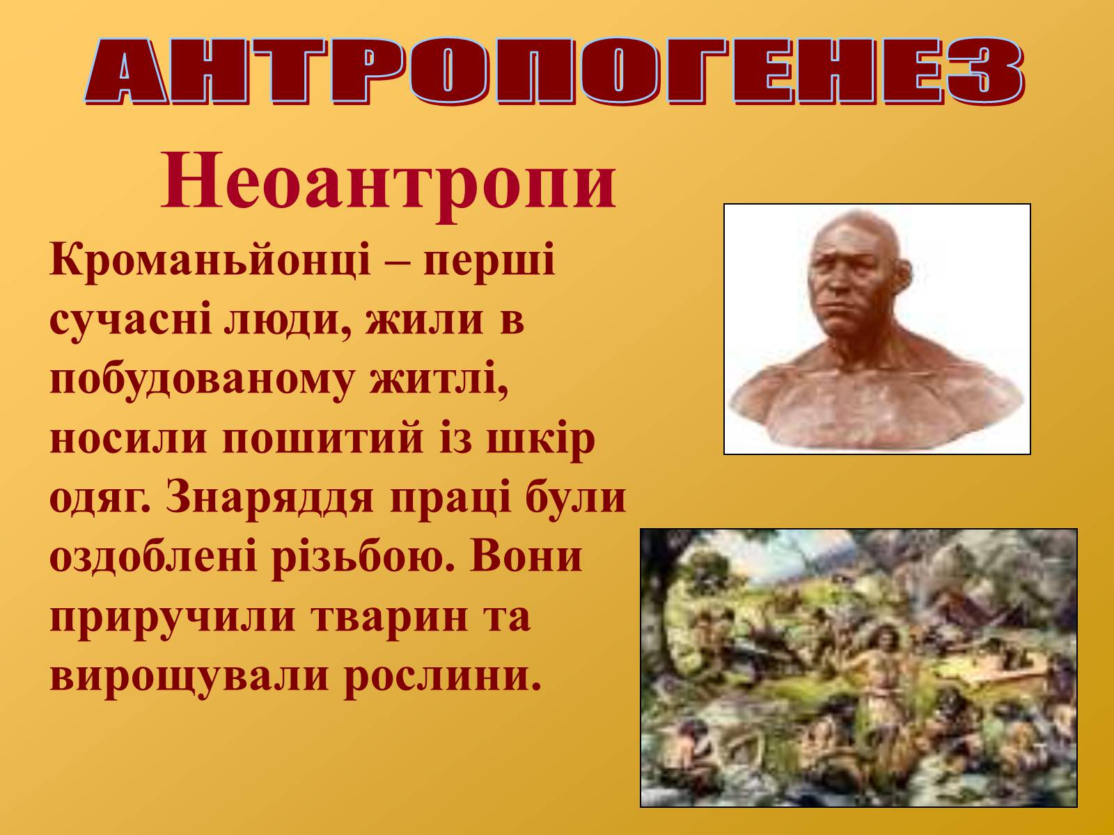 Презентація на тему «Антропогенез» (варіант 2) - Слайд #10 Презентація на тему «Антропогенез» (варіант 2) - Слайд #10