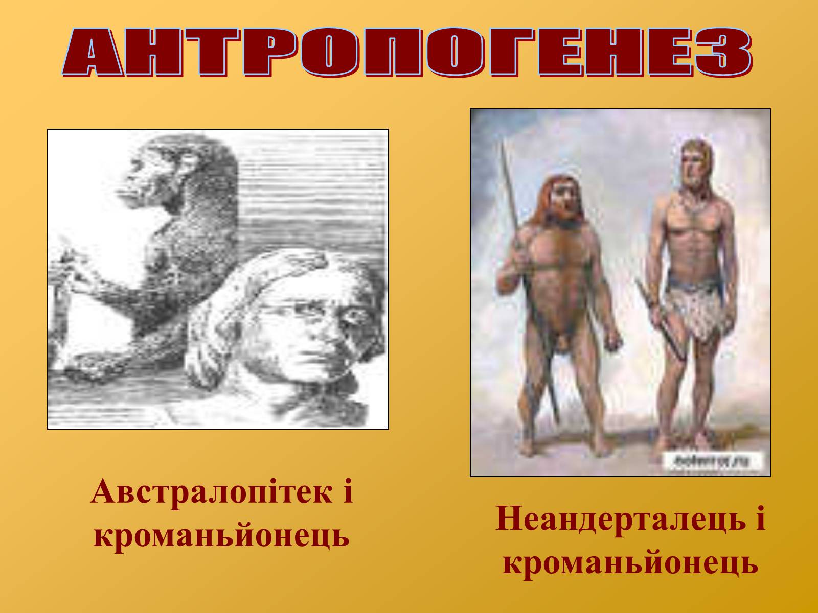Презентація на тему «Антропогенез» (варіант 2) - Слайд #11 Презентація на тему «Антропогенез» (варіант 2) - Слайд #11