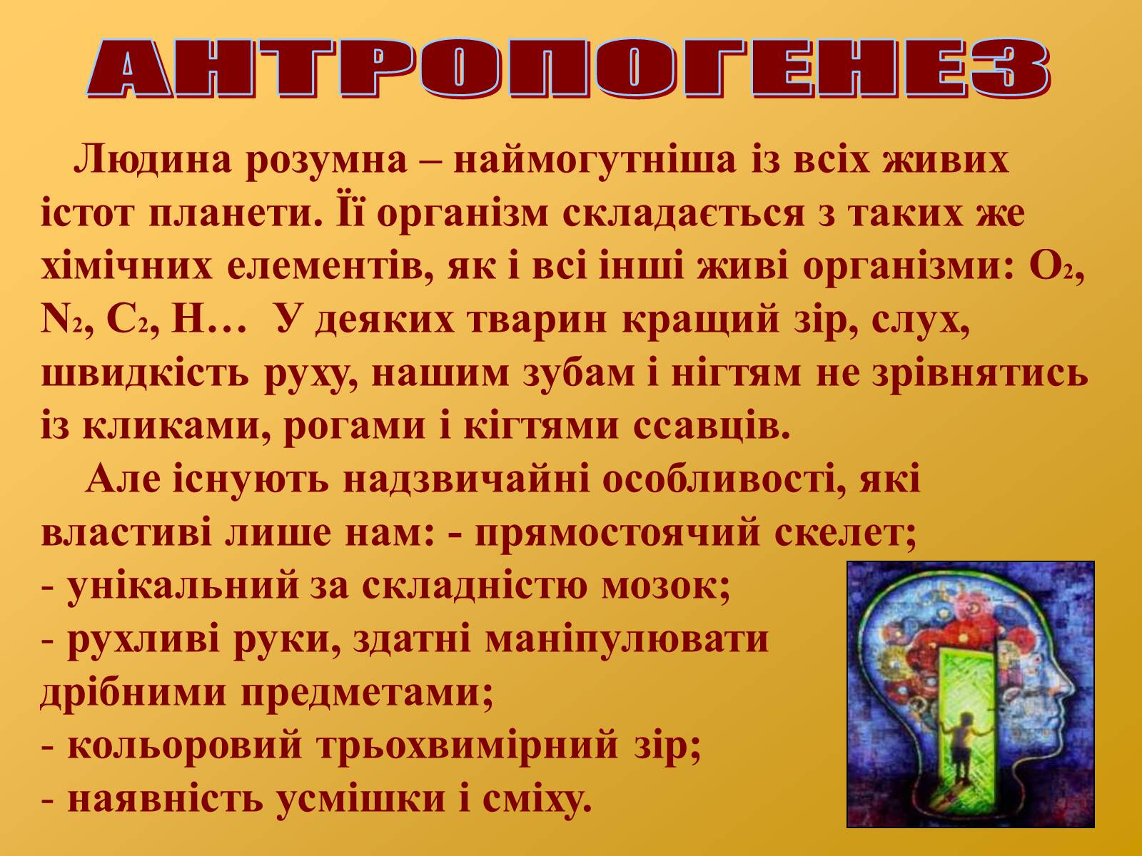 Презентація на тему «Антропогенез» (варіант 2) - Слайд #14 Презентація на тему «Антропогенез» (варіант 2) - Слайд #14