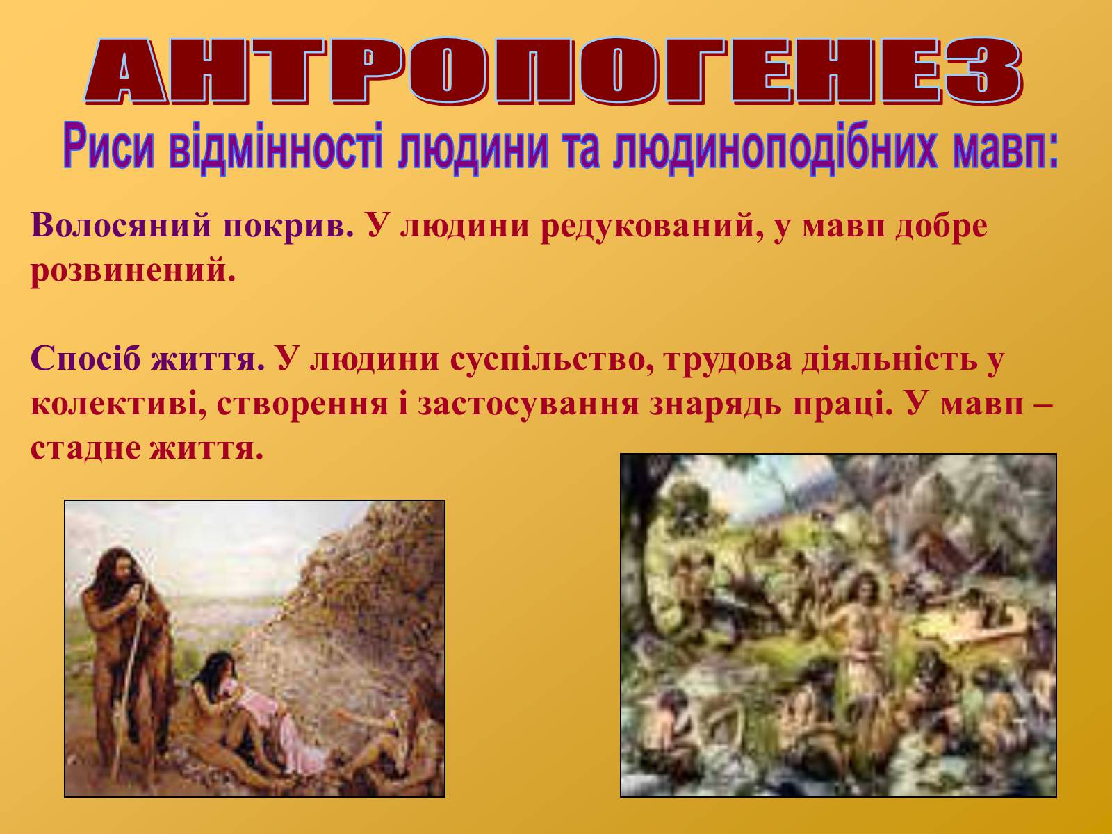 Презентація на тему «Антропогенез» (варіант 2) - Слайд #21 Презентація на тему «Антропогенез» (варіант 2) - Слайд #21