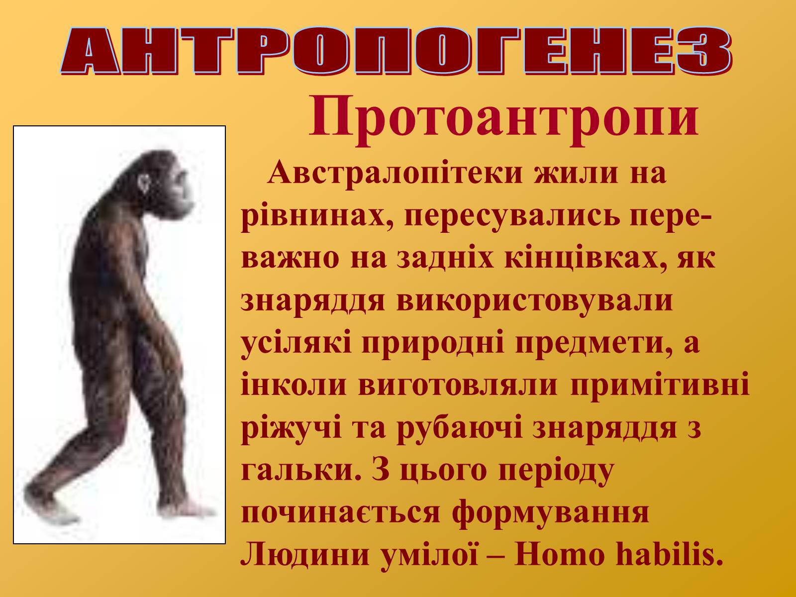 Презентація на тему «Антропогенез» (варіант 2) - Слайд #4 Презентація на тему «Антропогенез» (варіант 2) - Слайд #4