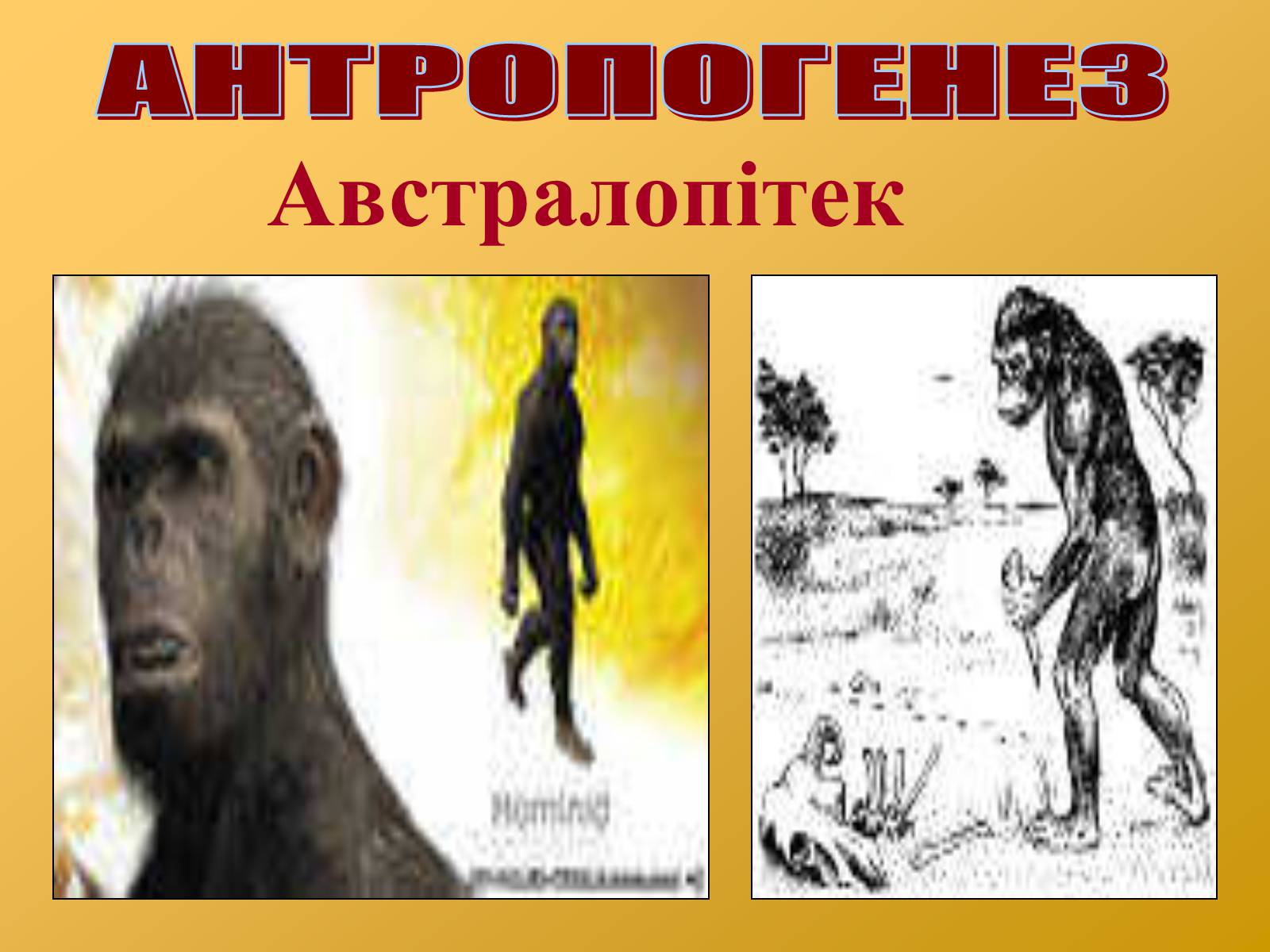 Презентація на тему «Антропогенез» (варіант 2) - Слайд #5 Презентація на тему «Антропогенез» (варіант 2) - Слайд #5