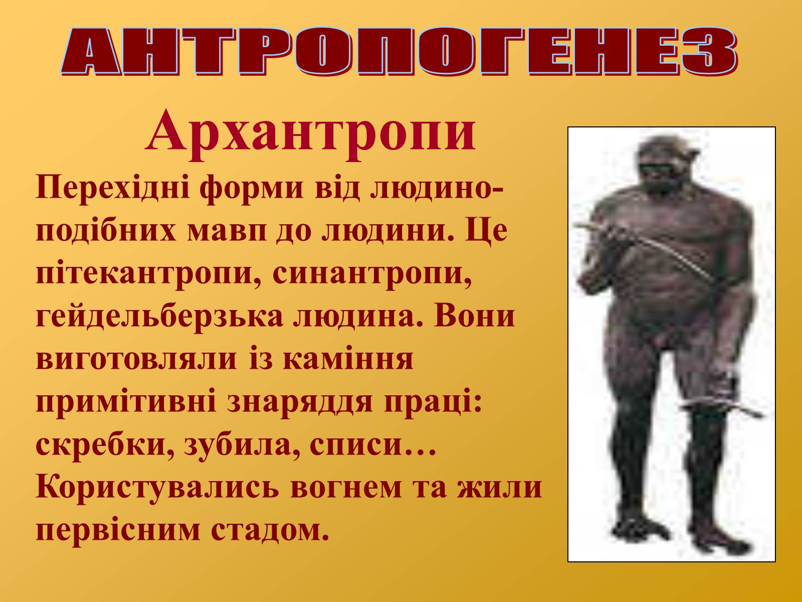 Презентація на тему «Антропогенез» (варіант 2) - Слайд #6 Презентація на тему «Антропогенез» (варіант 2) - Слайд #6