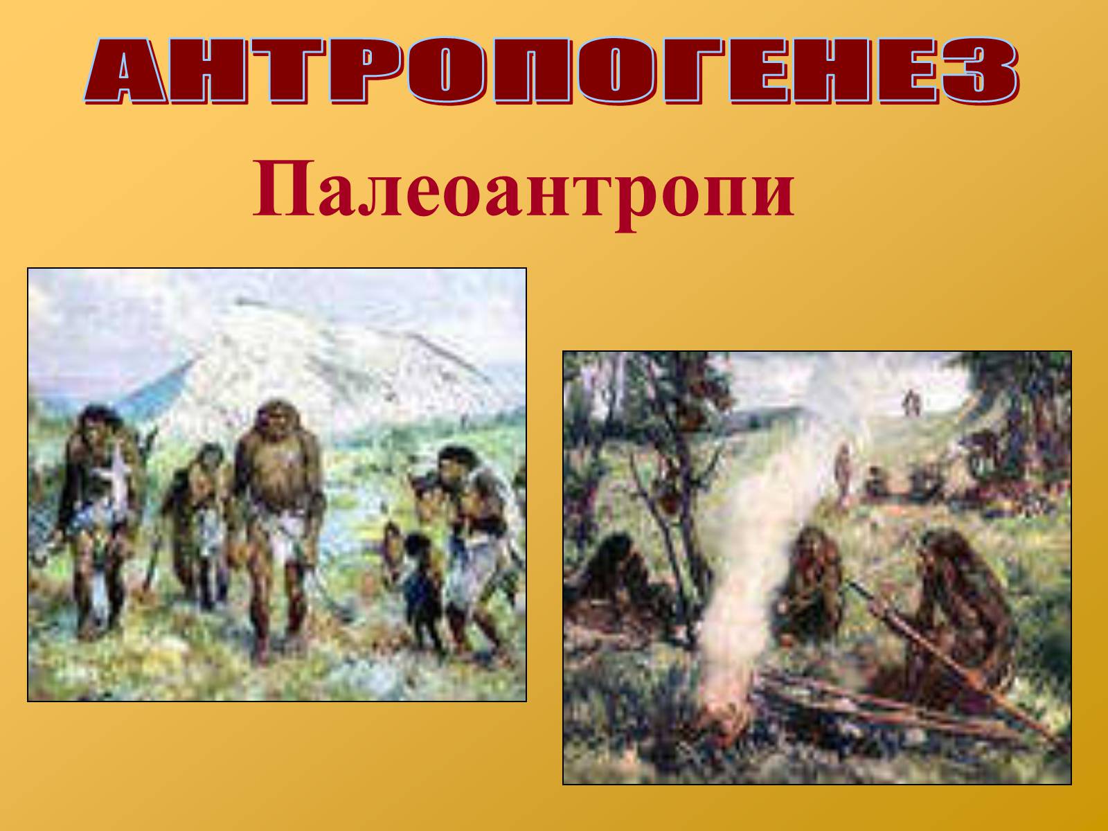 Презентація на тему «Антропогенез» (варіант 2) - Слайд #9 Презентація на тему «Антропогенез» (варіант 2) - Слайд #9