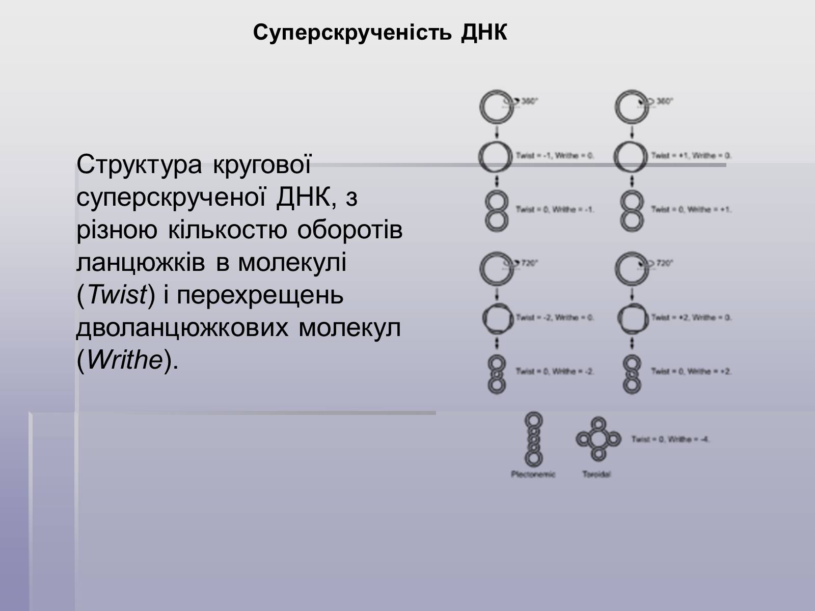 Презентація на тему «ДНК» (варіант 1) - Слайд #11 Презентація на тему «ДНК» (варіант 1) - Слайд #11
