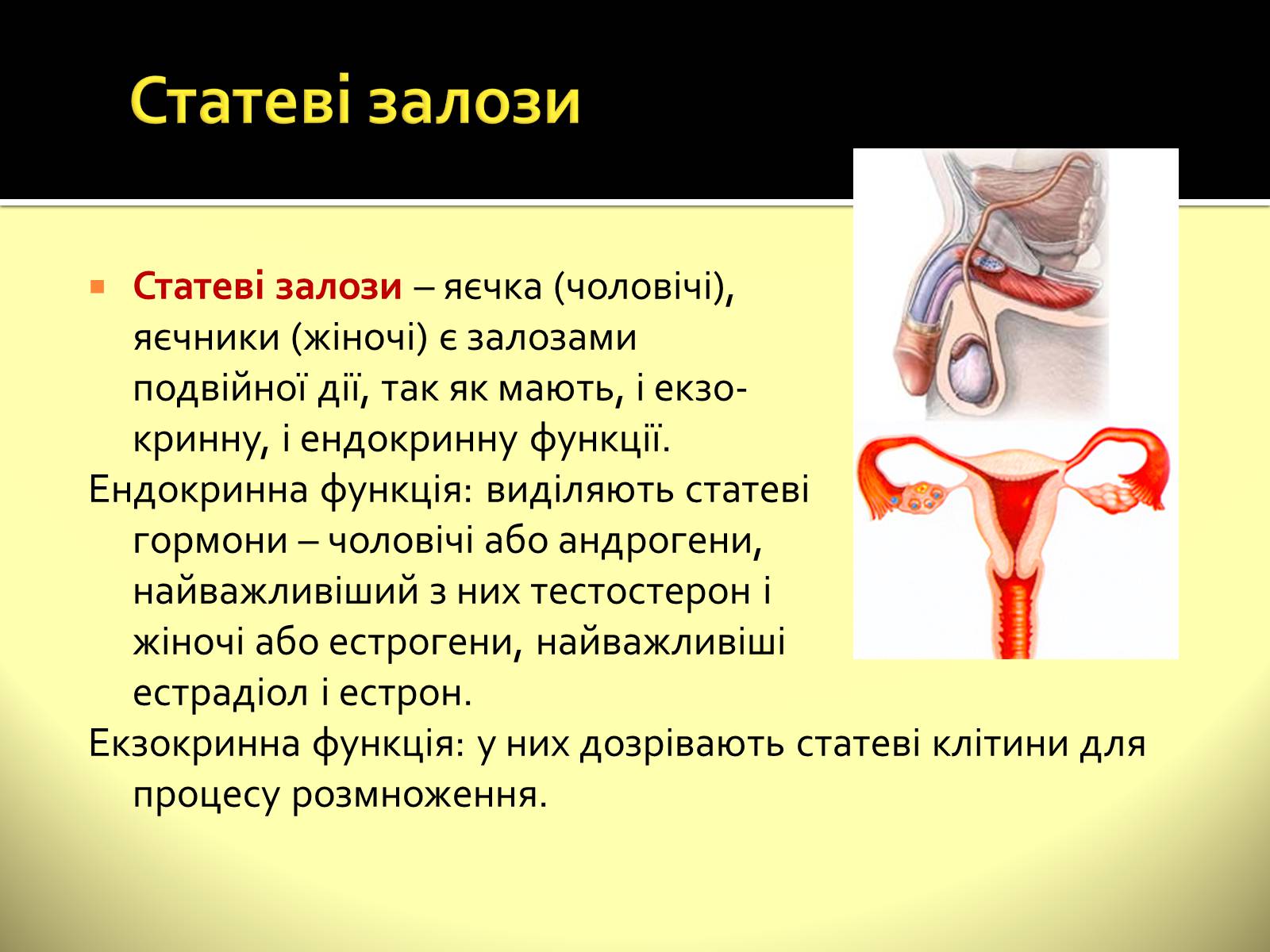 Презентація на тему «Ендокринні залози» - Слайд #10 Презентація на тему «Ендокринні залози» - Слайд #10